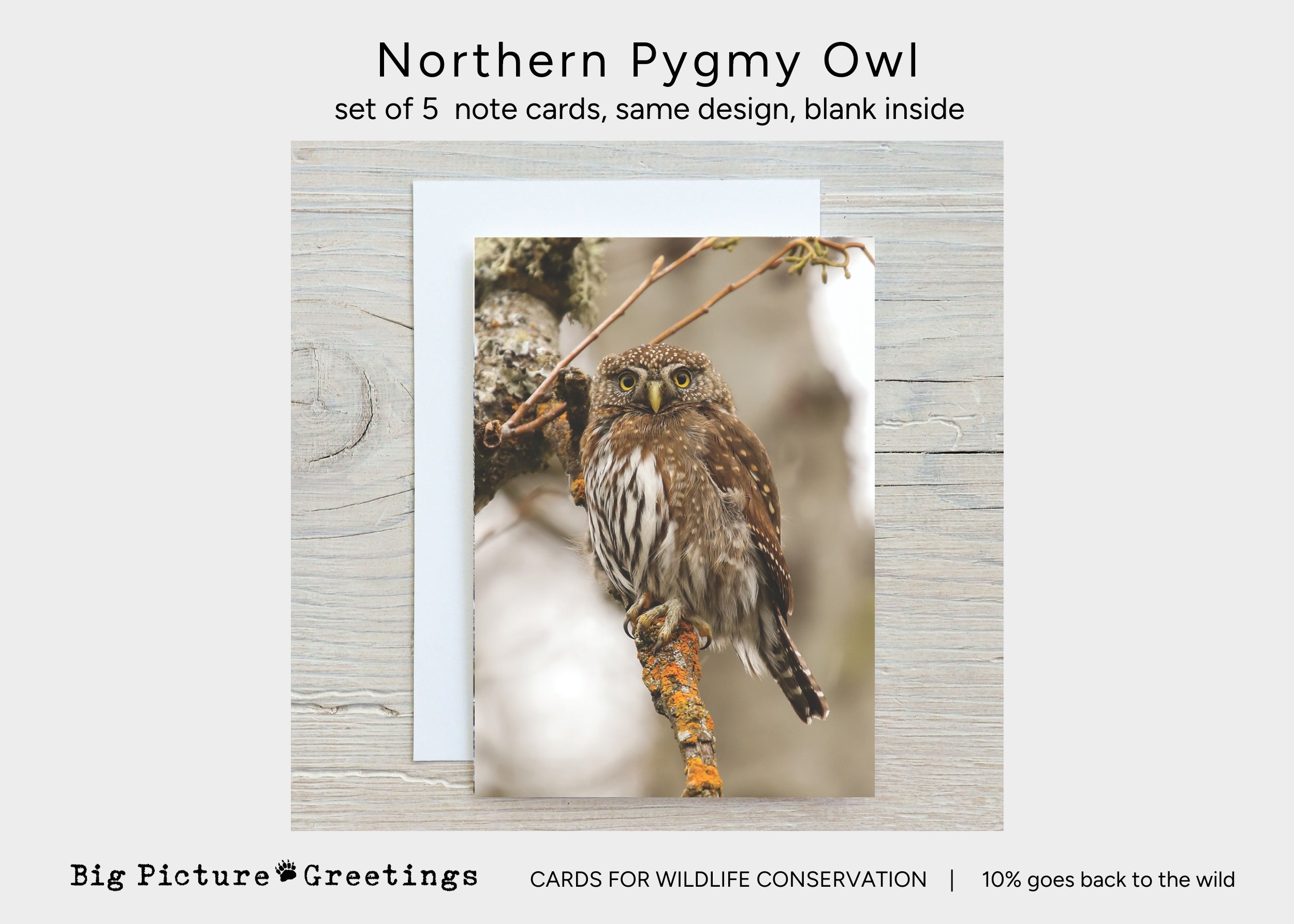 Copy of Copy of cards for wildlife conservation (10).jpg