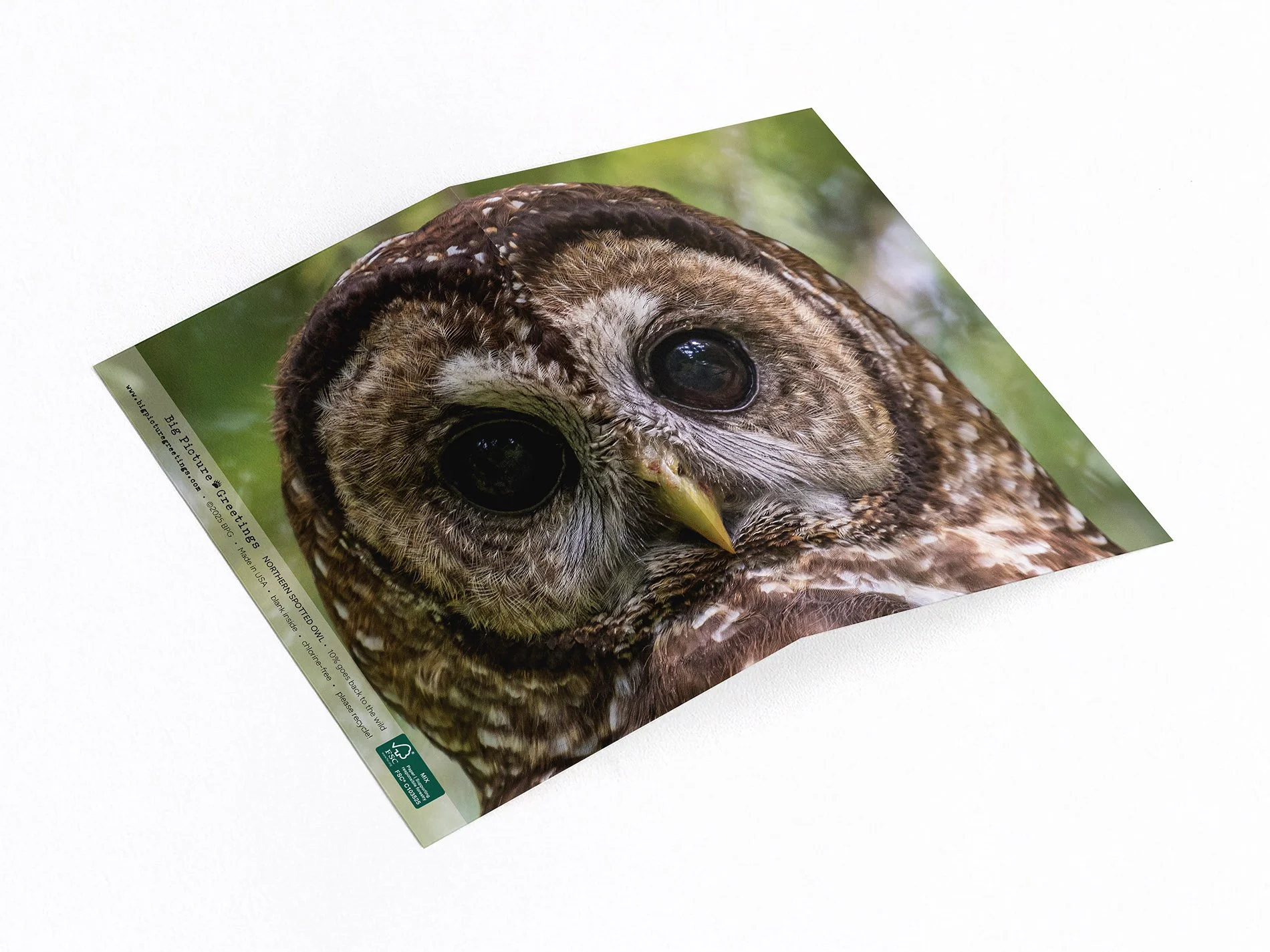 Northern Spotted Owl wrap around card