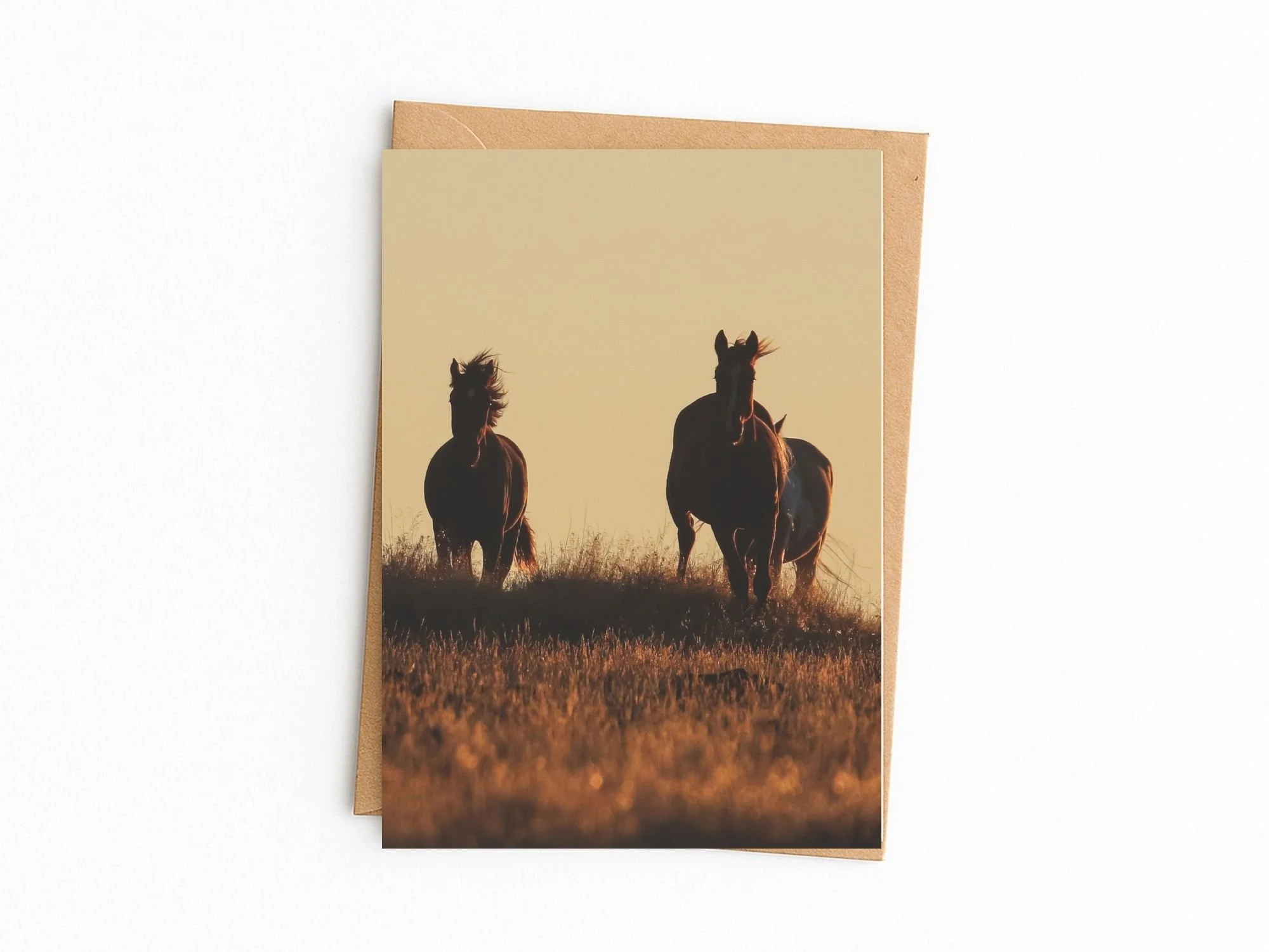 wild mustangs kraft.jpg