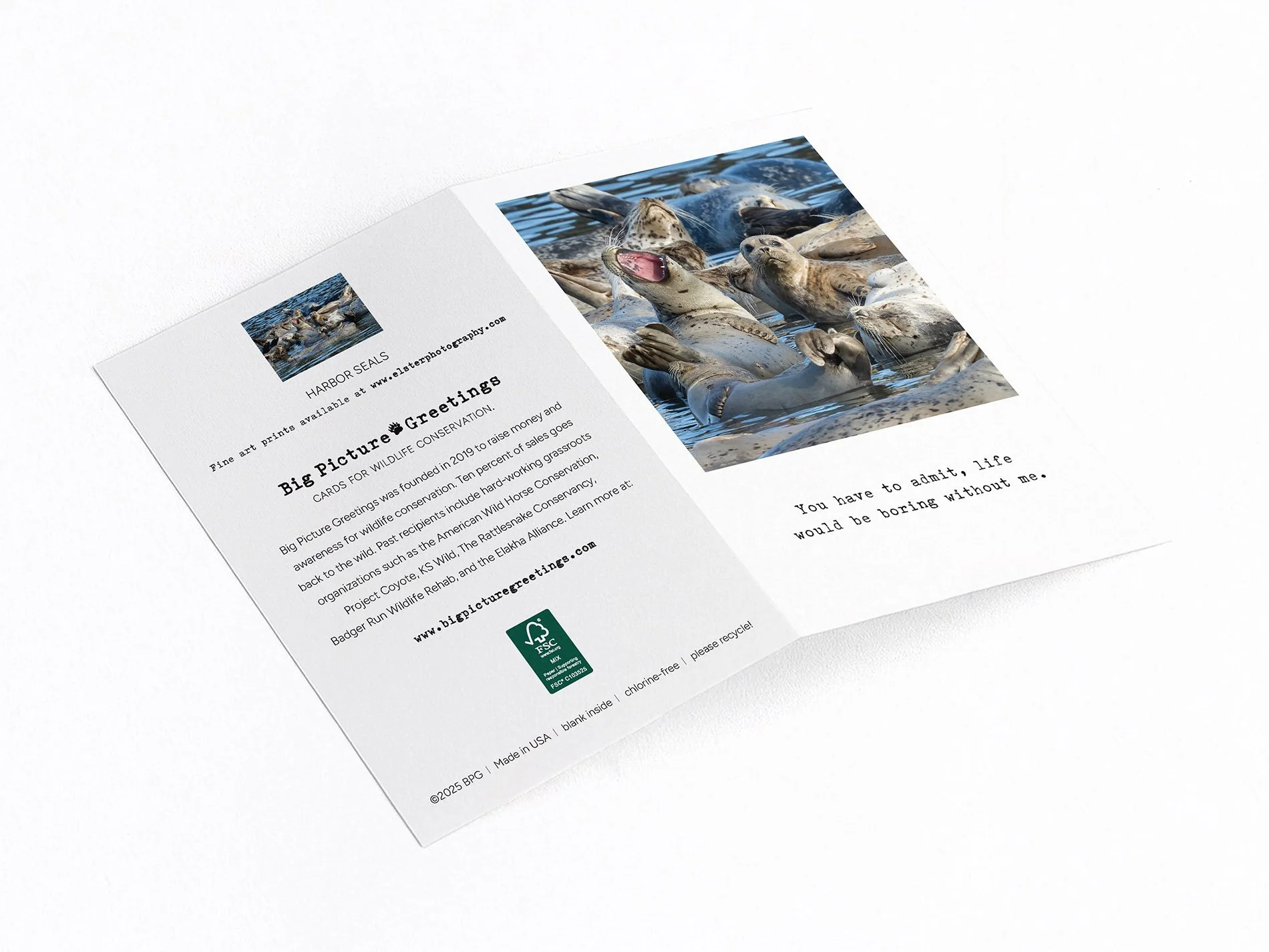 boring without finished mock jpeg.jpg