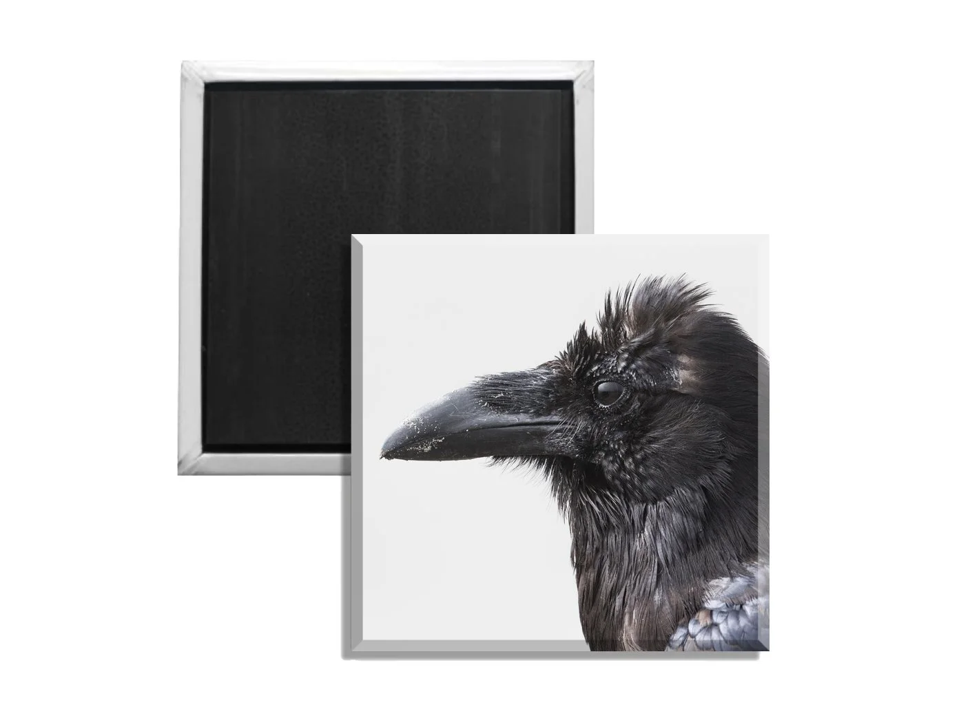 Raven Two.jpg