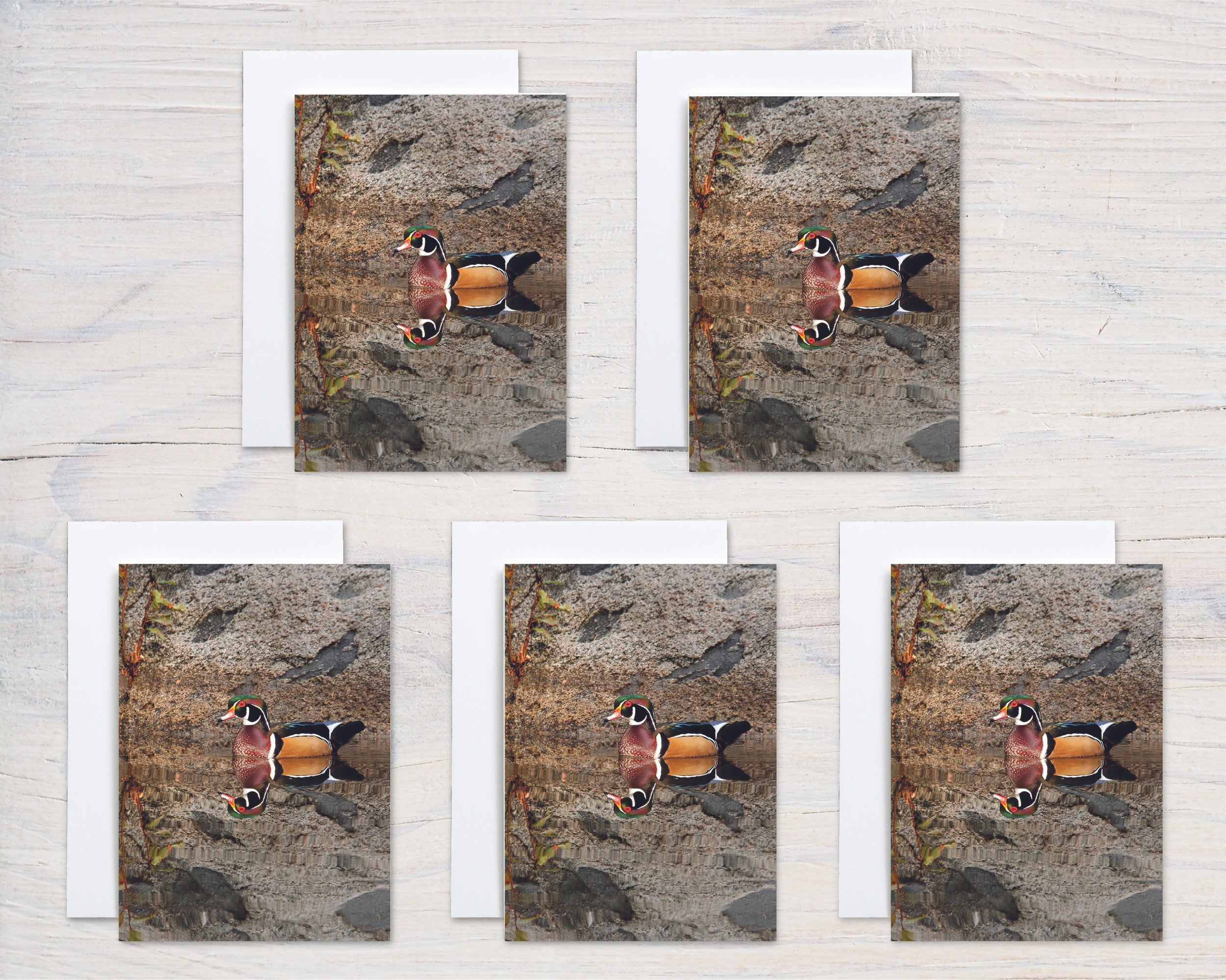 Untitled design - 2024-10-28T095421.102.jpg