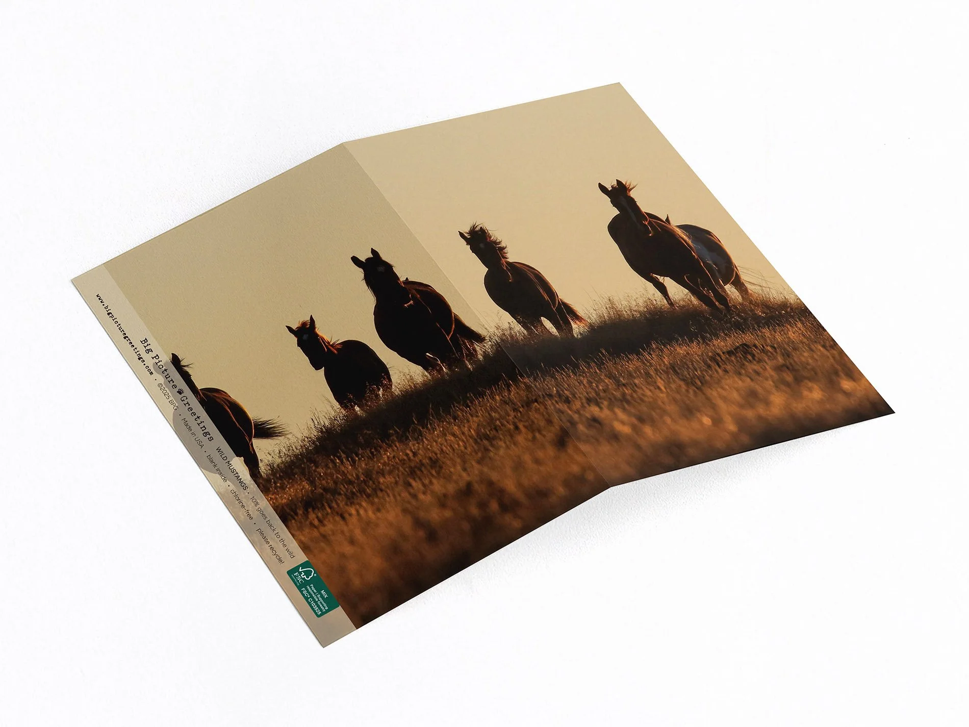 Wild Mustangs wrap around