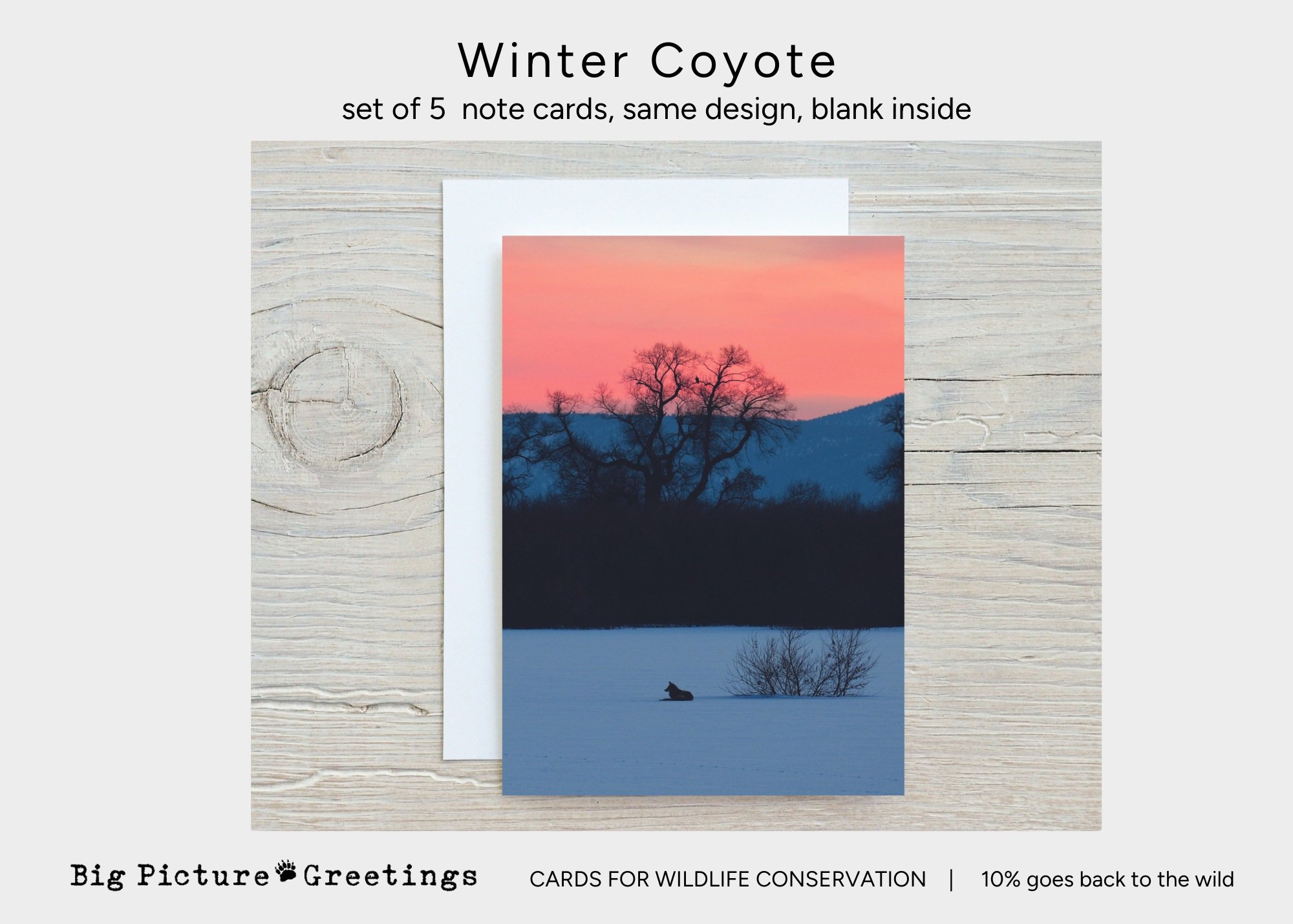 Copy of Copy of cards for wildlife conservation (32).jpg