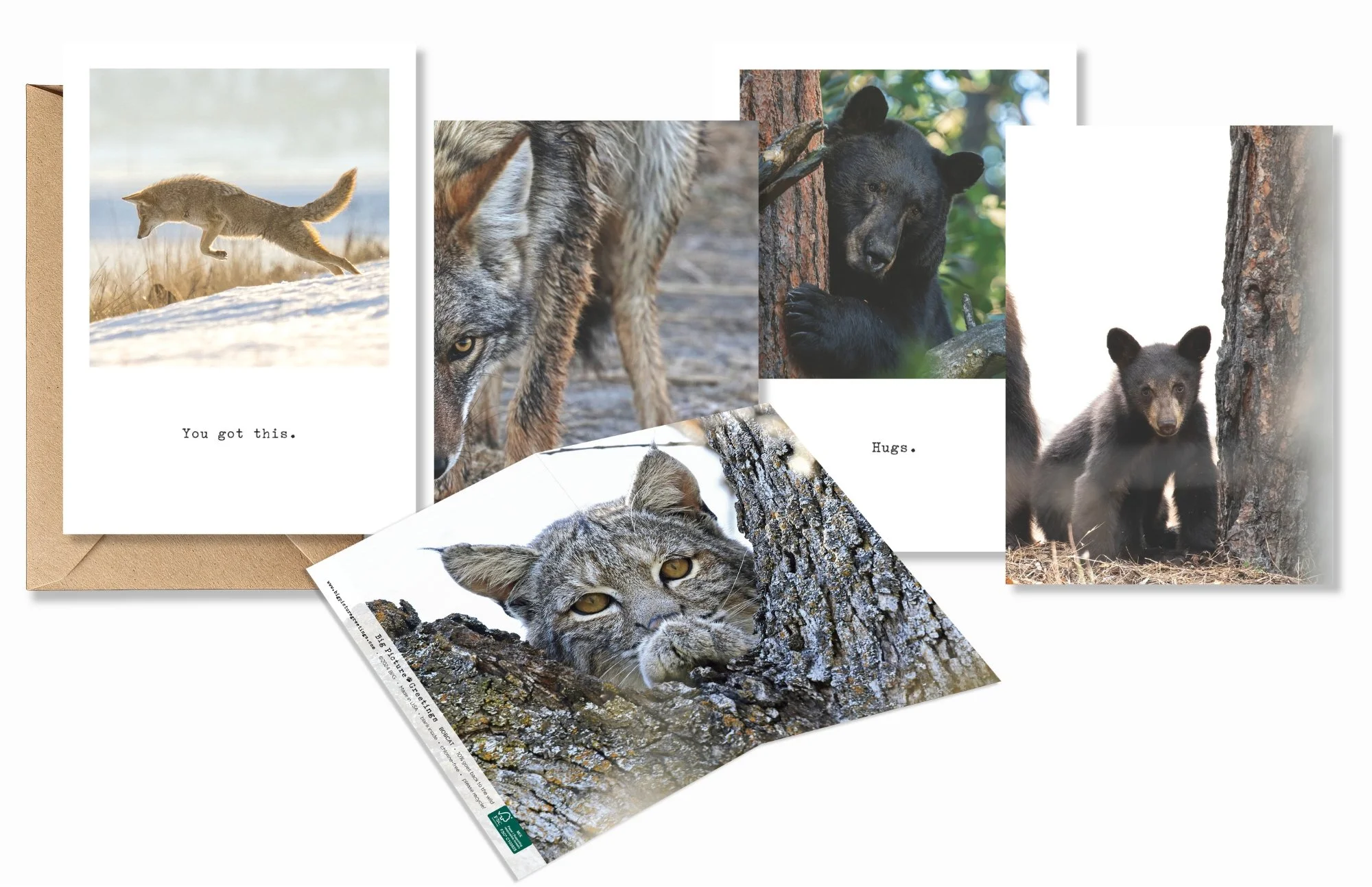 Set of 5 Greeting Cards