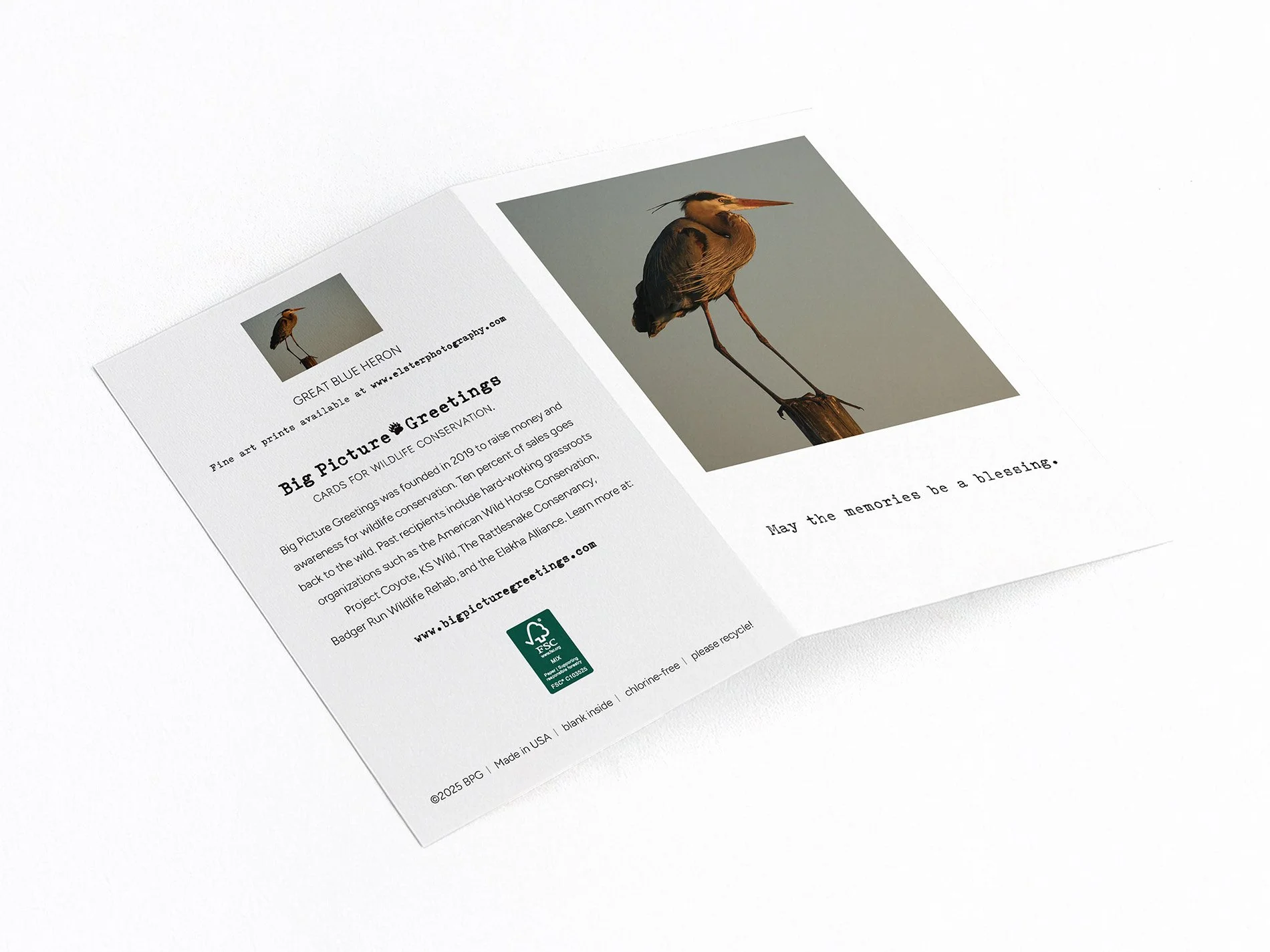 memory finished mock jpeg.jpg