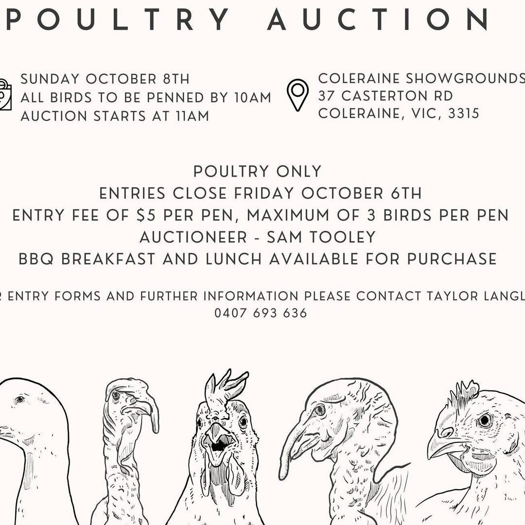 POULTRY AUCTION - 2023

Chooks, ducks, turkeys... you name it. It'll be here. Get the kids to enter their chooks, or perhaps you're more of a poultry veteran and breed some stunning exotic poultry, all are welcome on the day. BBQ brekky and lunch wil