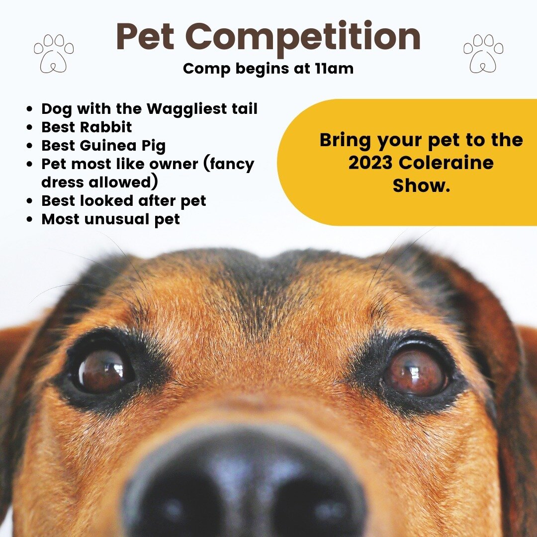 BRING YOUR PET TO THE COLERAINE SHOW!

The pet competition is back in 2023. Enter Fido into the pet competition for the chance to win a voucher to the Pet Palace! Comp starts at 11am.