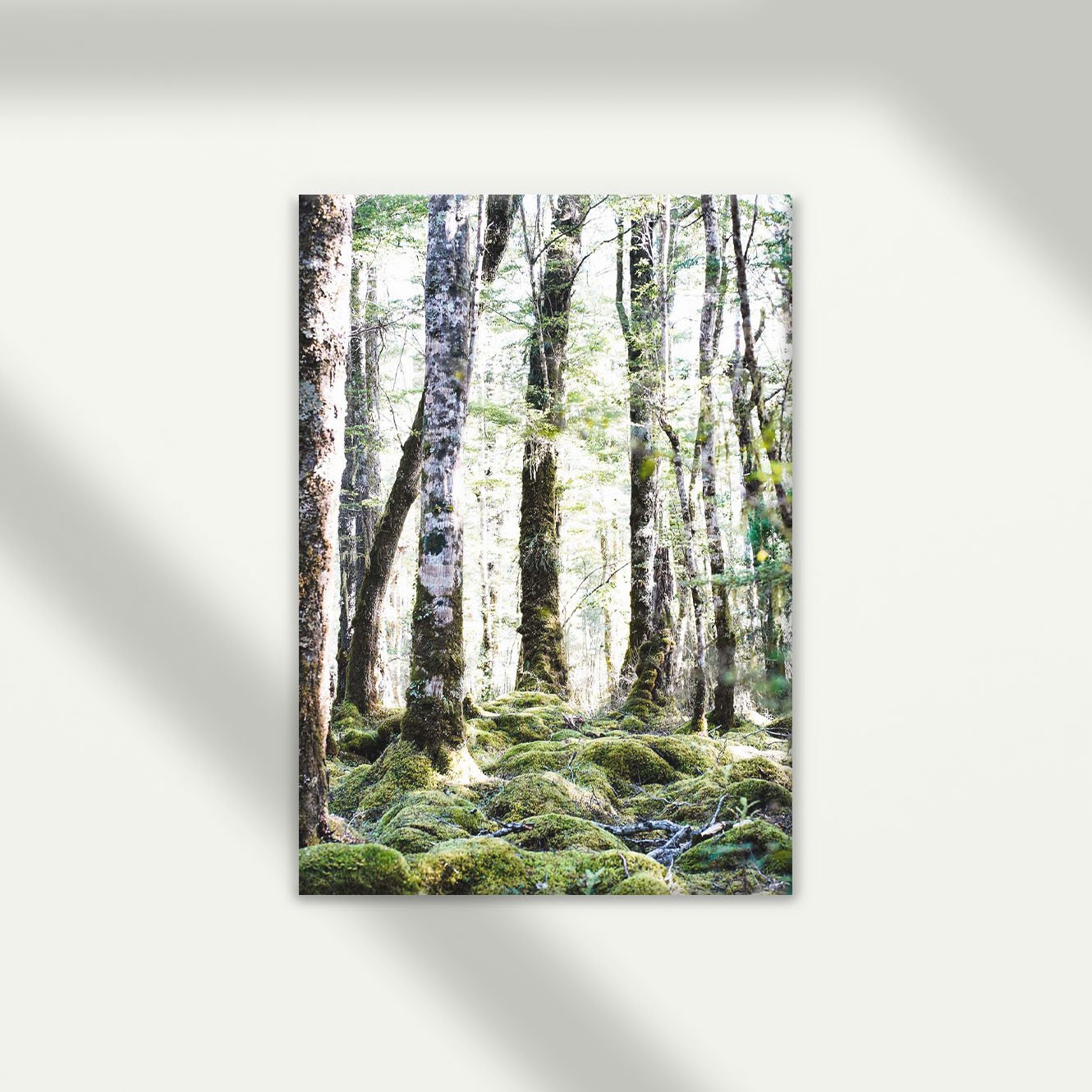 whispering willows.jpg