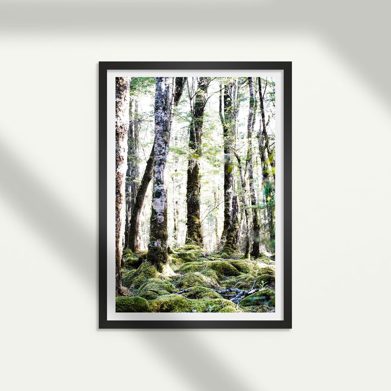 Whispering willows_black.jpg