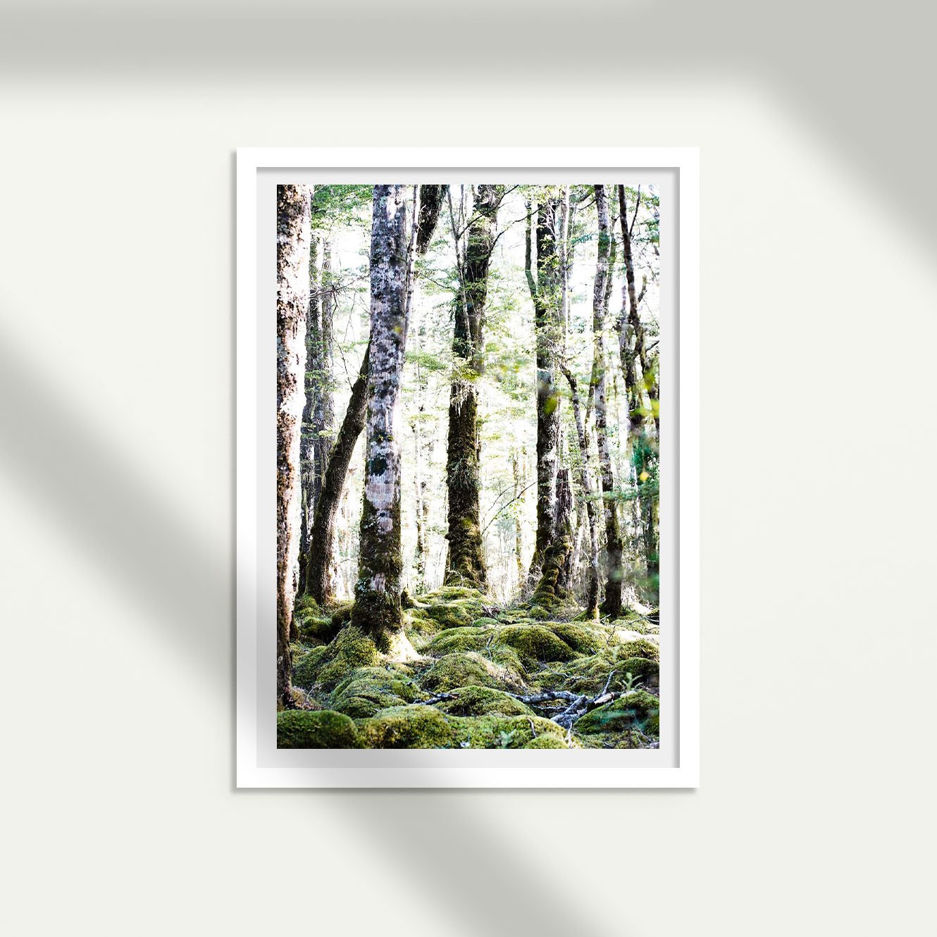 Whispering willows_White.jpg