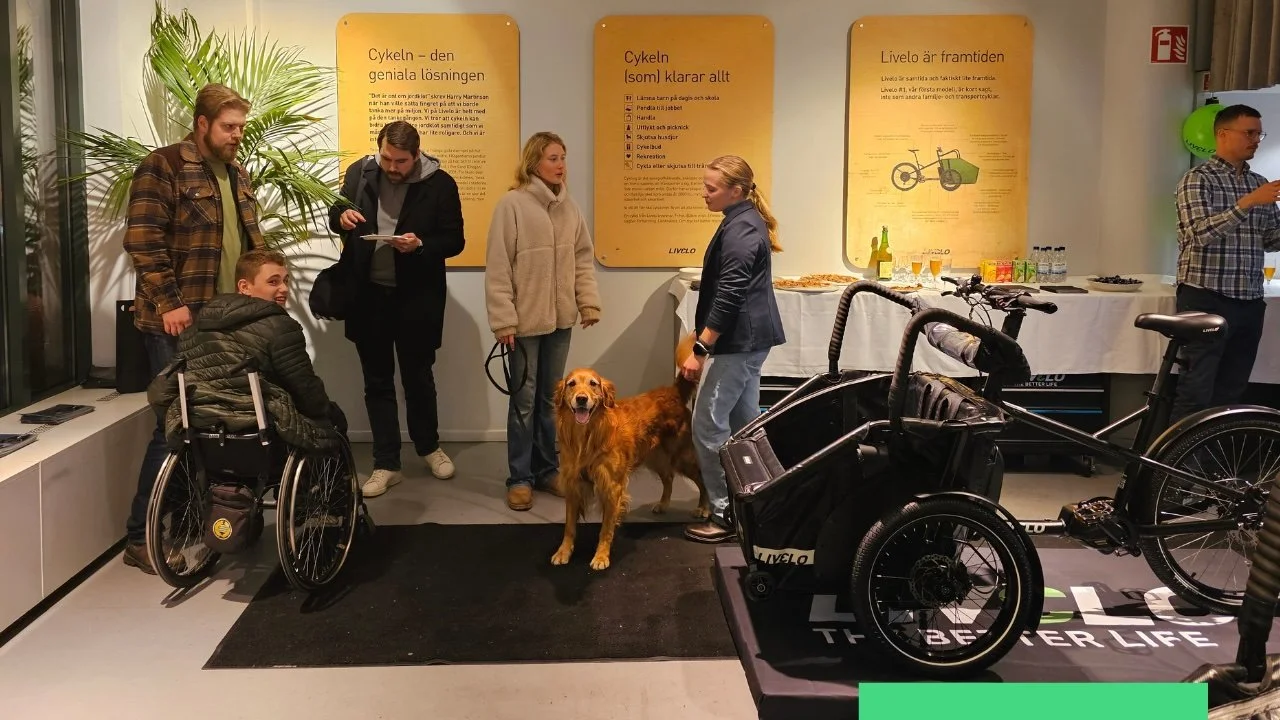 Från vision till verklighet