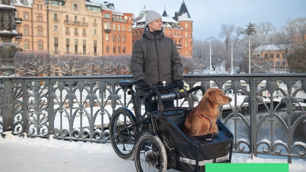 Support Your Locals, Svensk kvalitet som håller i längden
