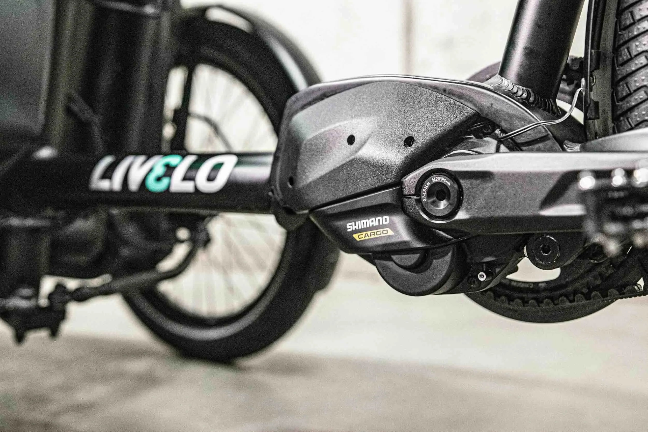 Livelo_shimano_battery.jpeg