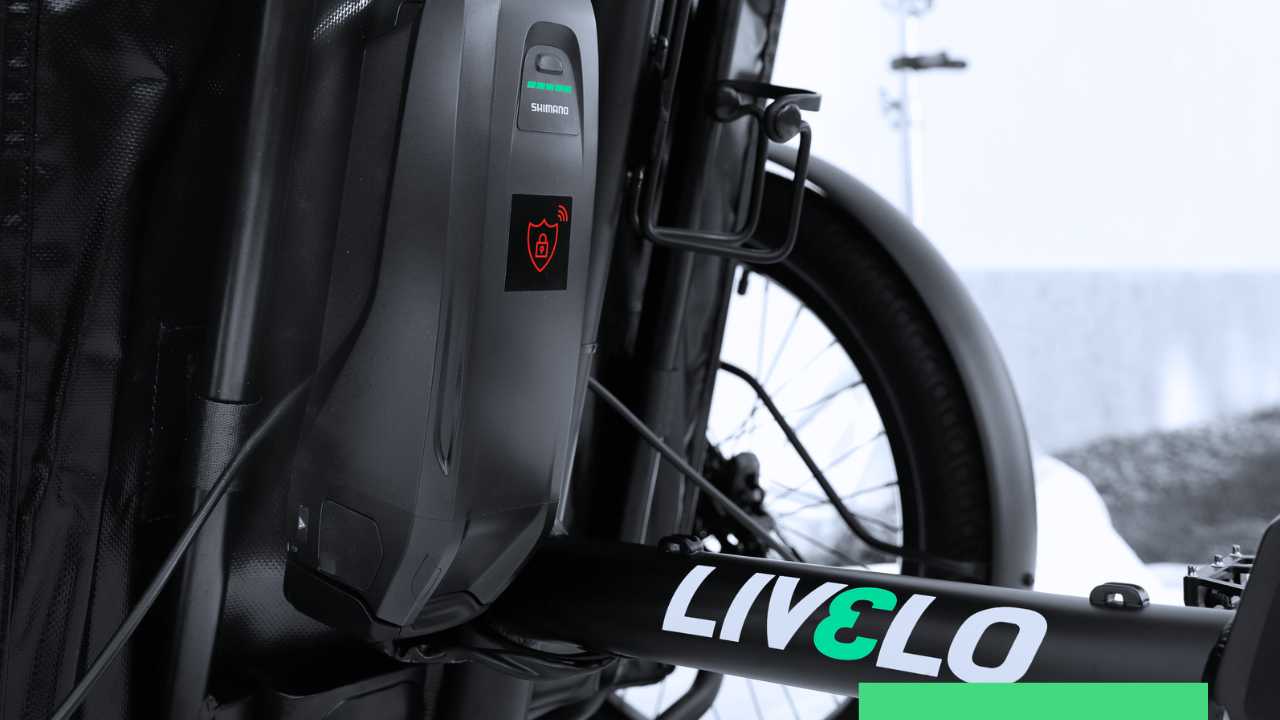 Shimano battery Livelo