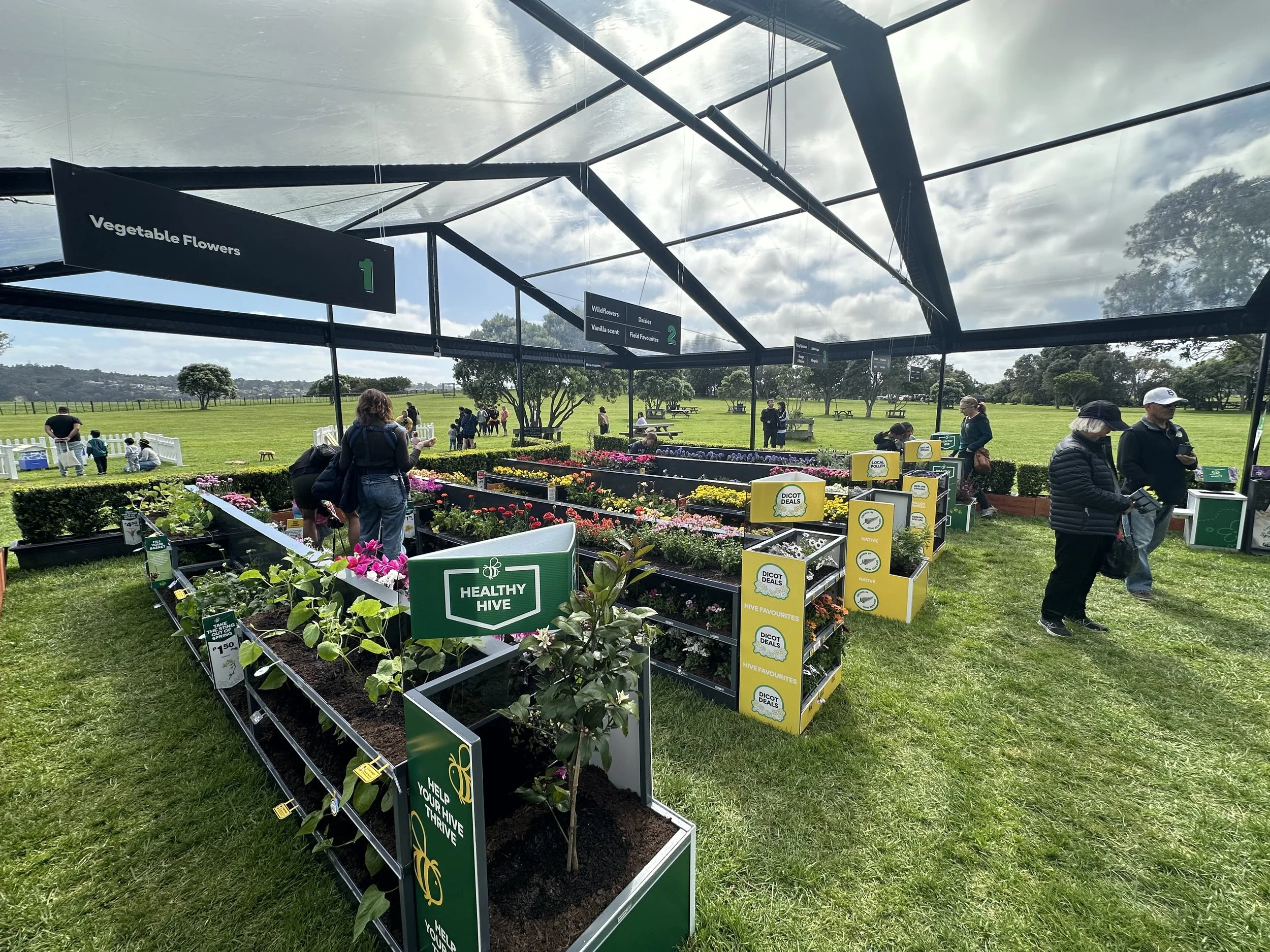 Woolworths - Supermarket For Bees — riot design