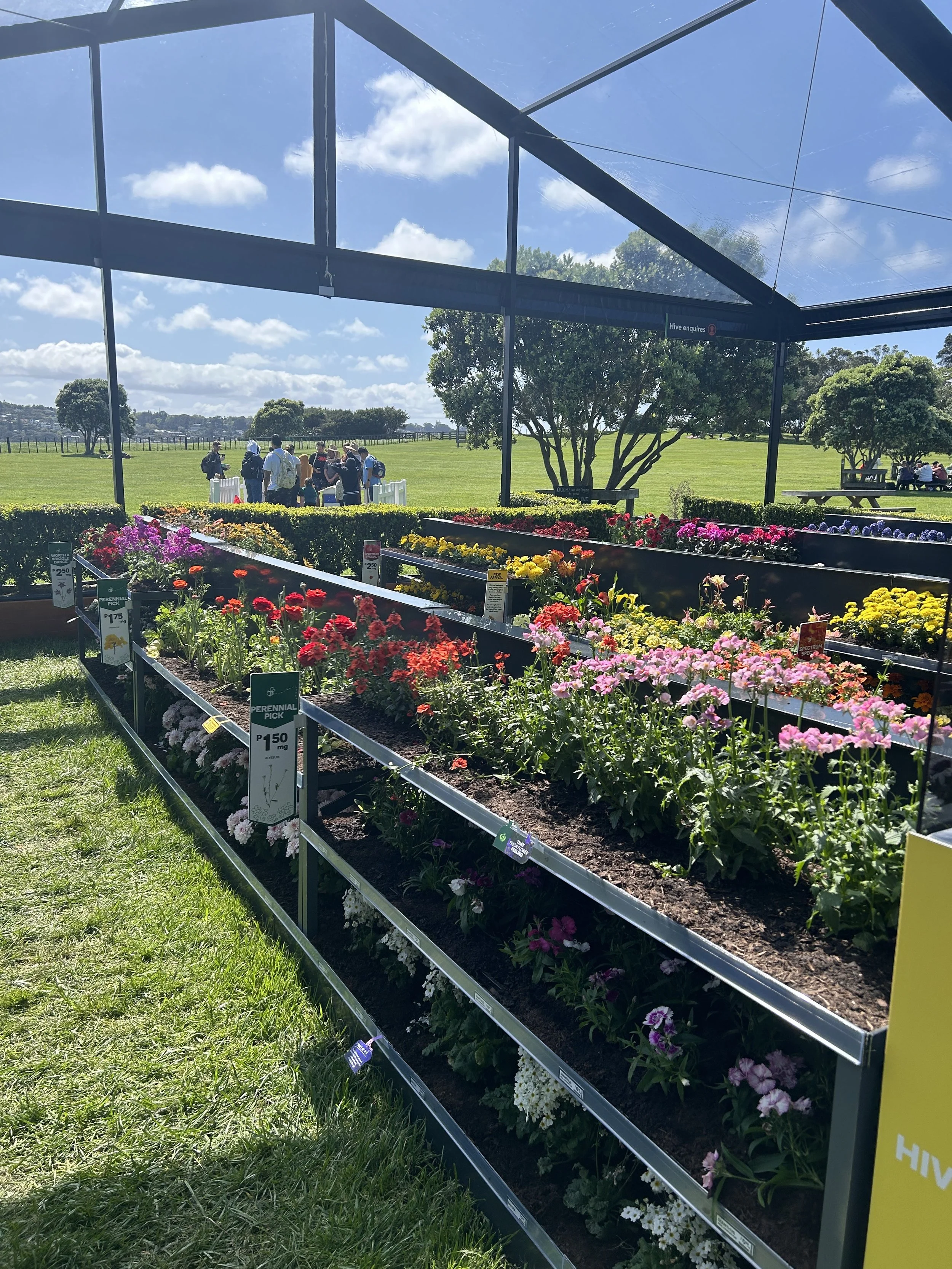 Woolworths - Supermarket For Bees — riot design