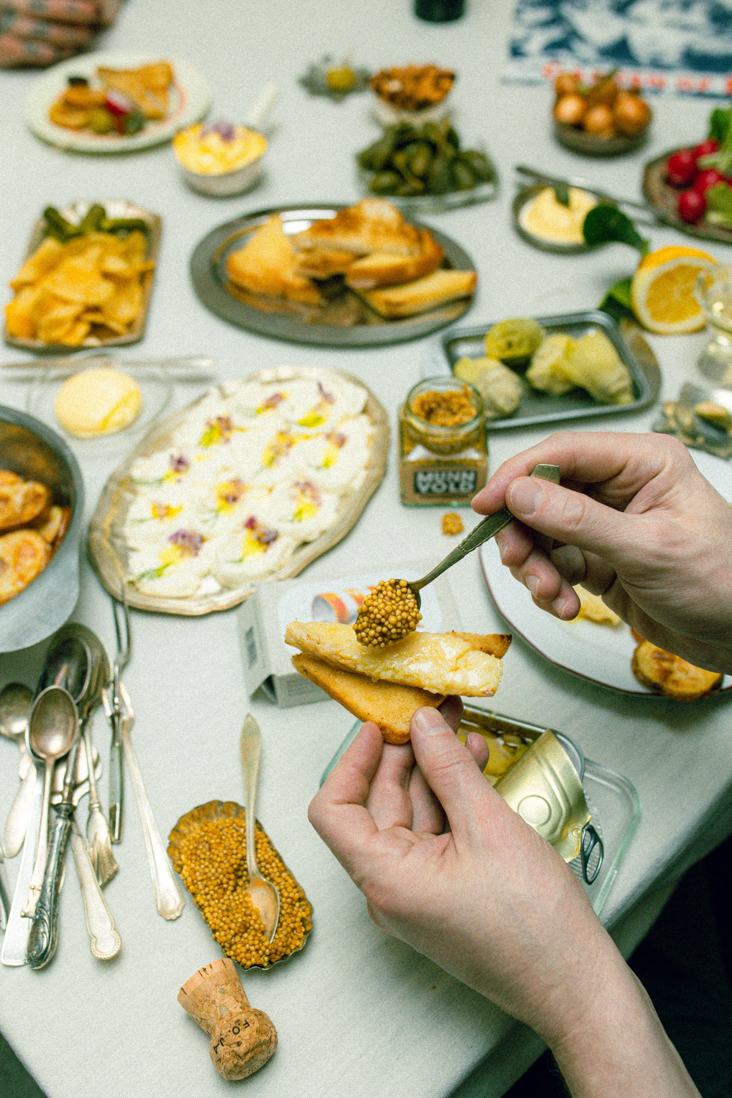 Munnvold x Fishy-8.jpg