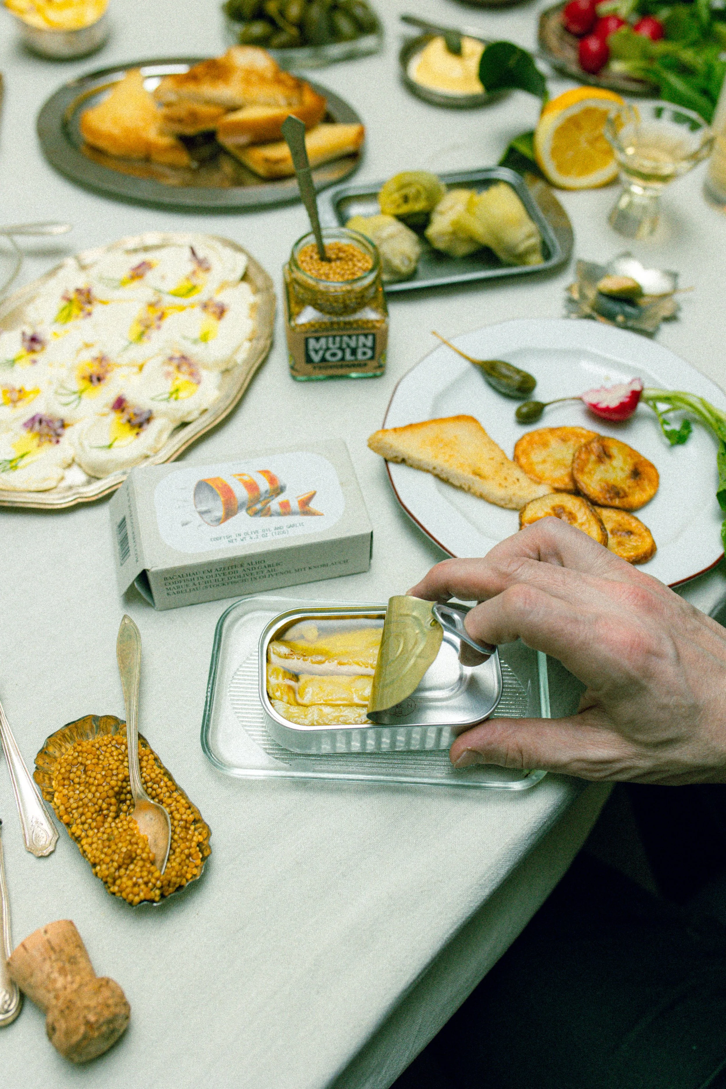 Munnvold x Fishy-4.jpg