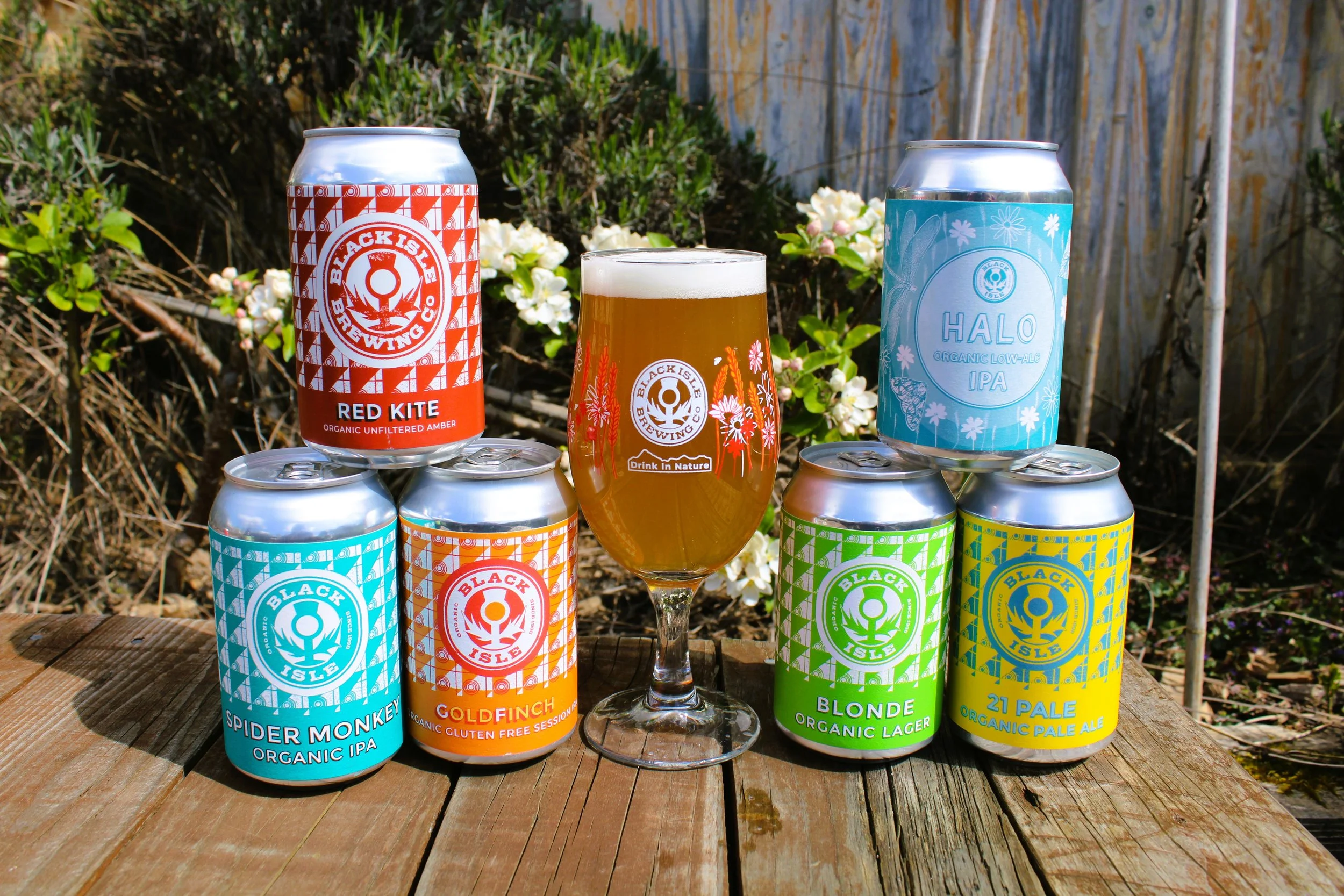 A variety of six cans of beer from Black Isle Brewing Co. arranged on a wooden surface outdoors, with one glass of beer in the center. The cans are colored blue, orange, green, and yellow, and feature the Black Isle logo and different beer names, wit