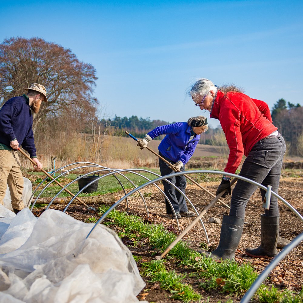 Watering weeding and pest control-1.jpg