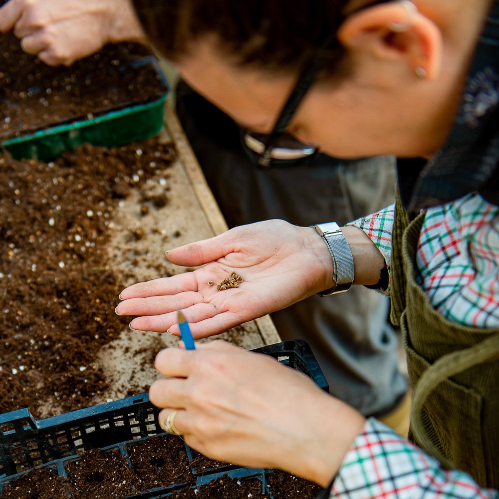 Seed sowing and compost making-1.jpg