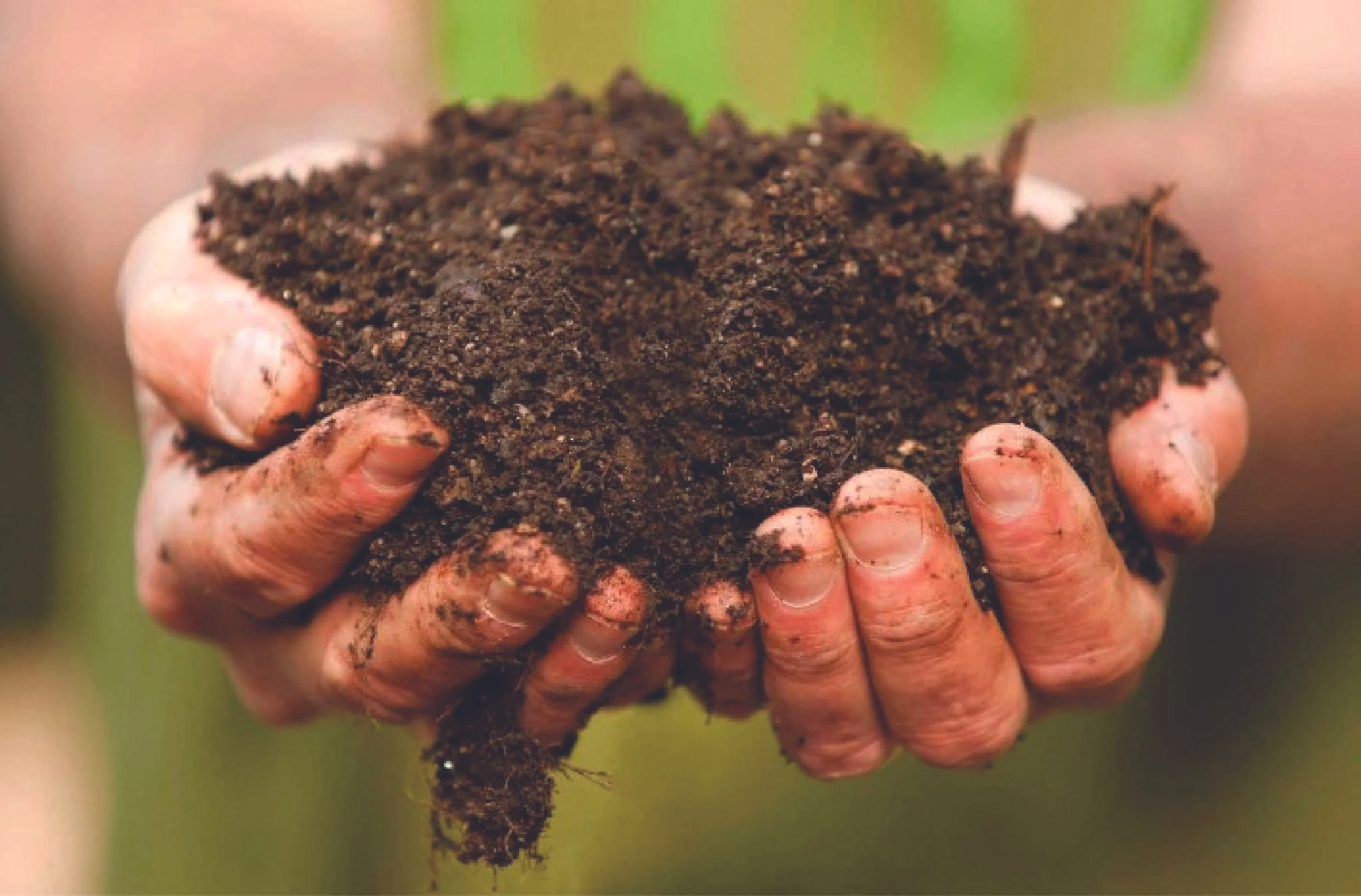 compost.jpg
