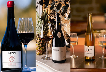 Les 6 bonnes bouteilles du Dry January