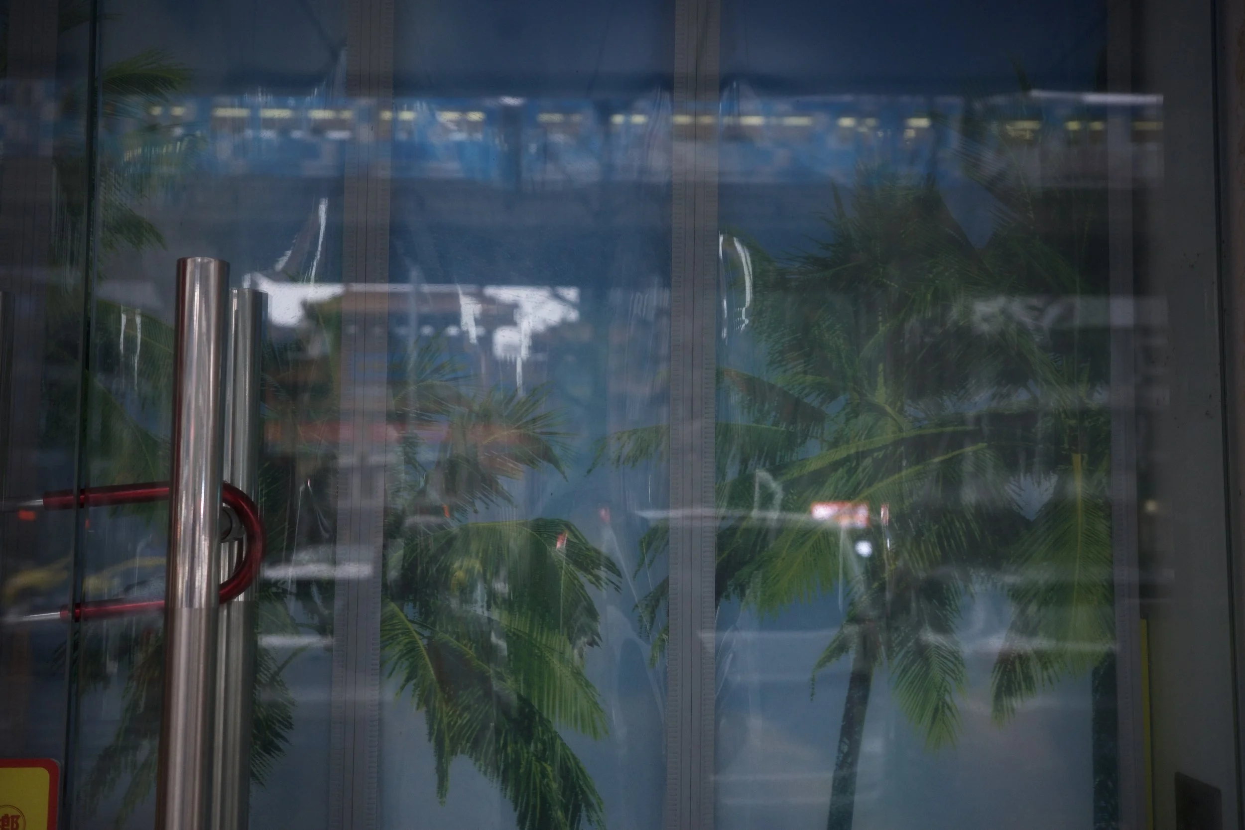 Reflections of palm trees and sky on glass door with metal handles.