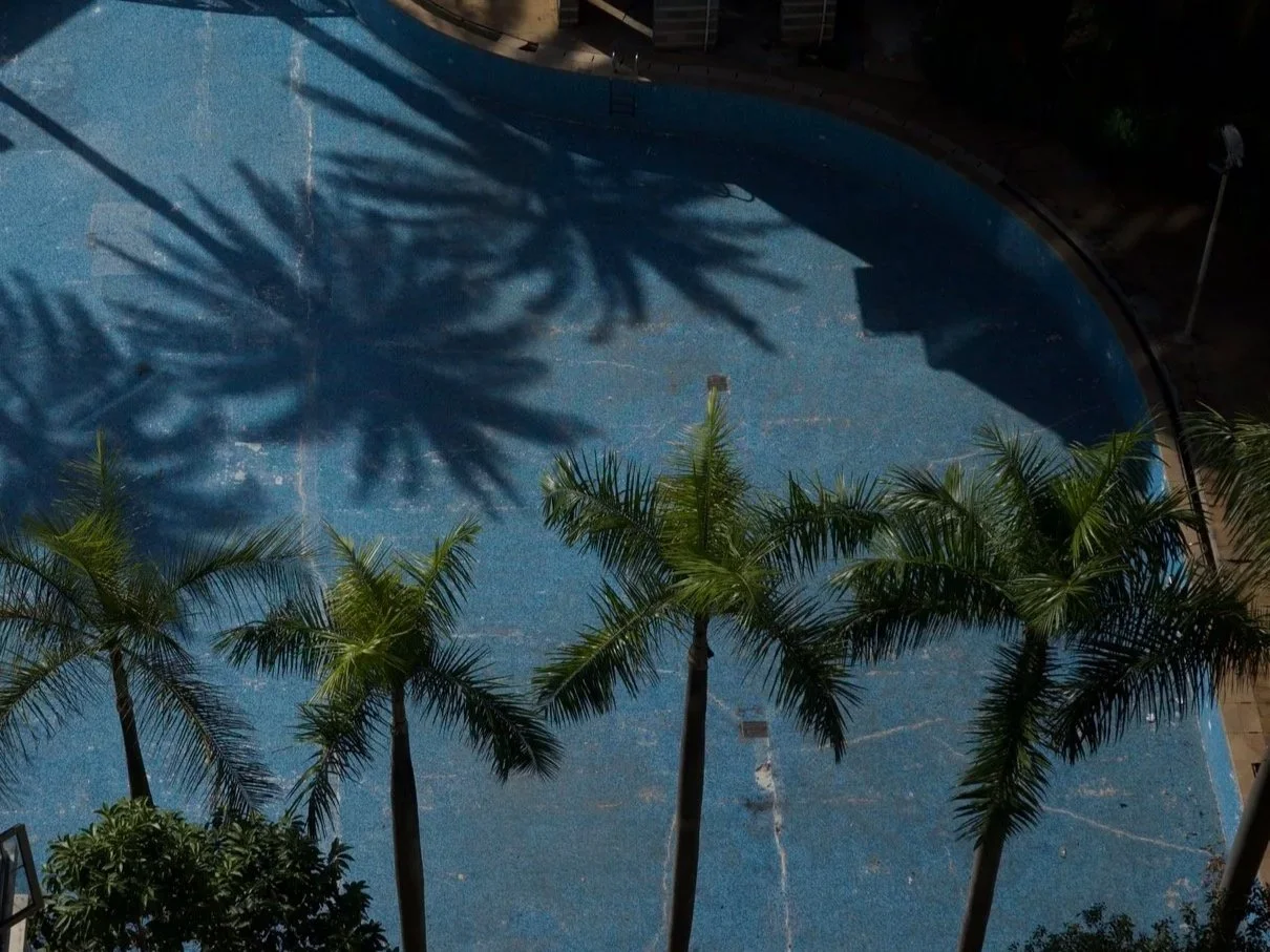Empty swimming pool viewed from above, with palm trees casting shadows on the water.
