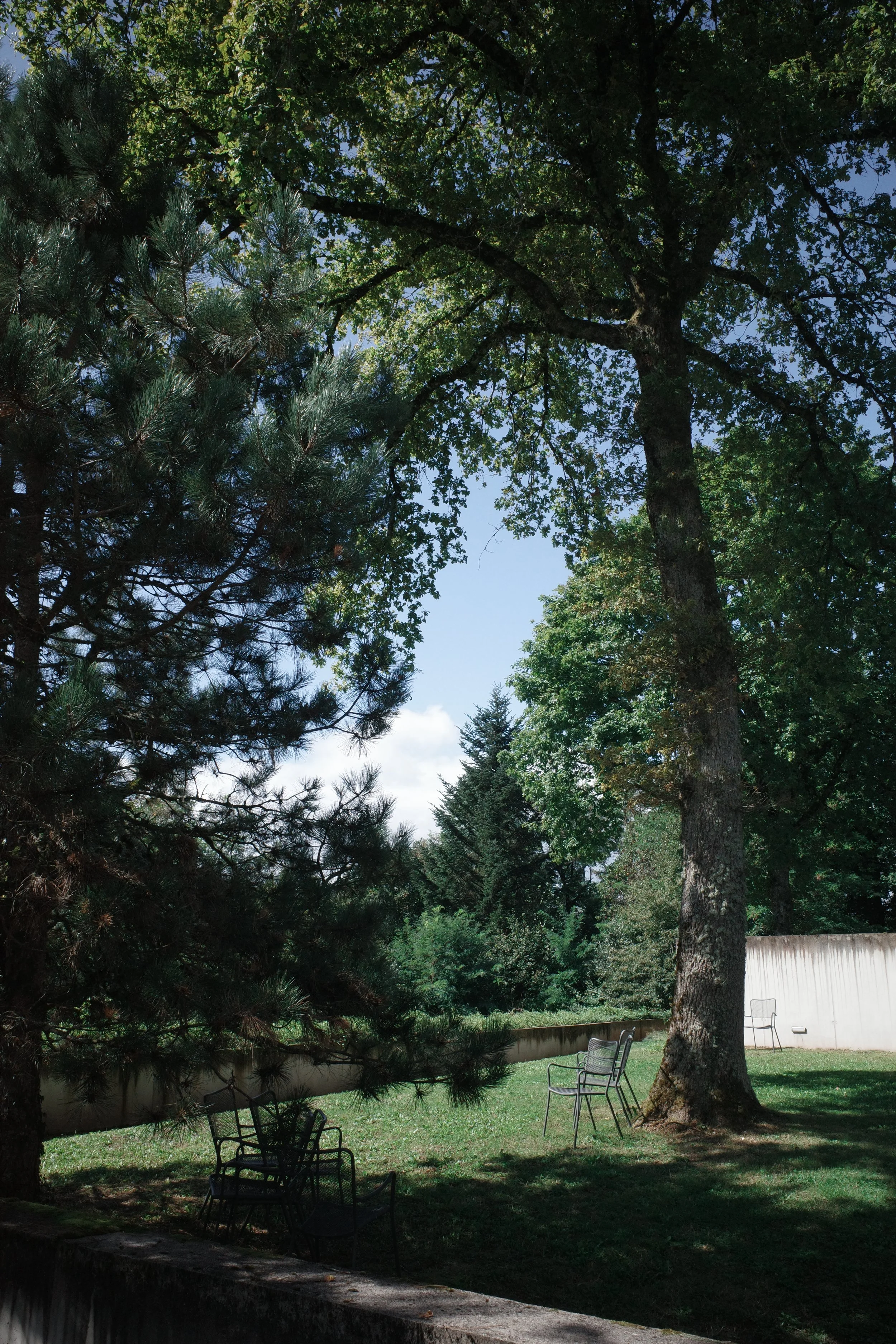 A shaded outdoor area with several chairs under large trees, a white fence in the background, and a bright blue sky with some clouds.