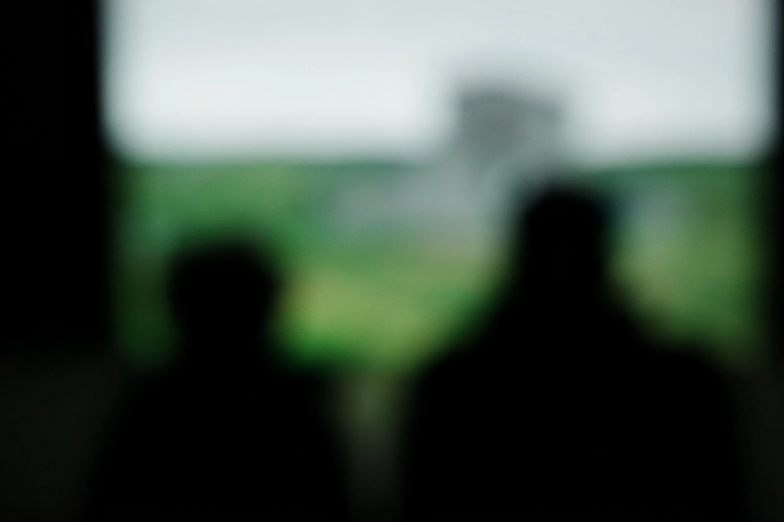 Silhouettes of two people looking at a blurry outdoor landscape with green grass and an out-of-focus structure in the background