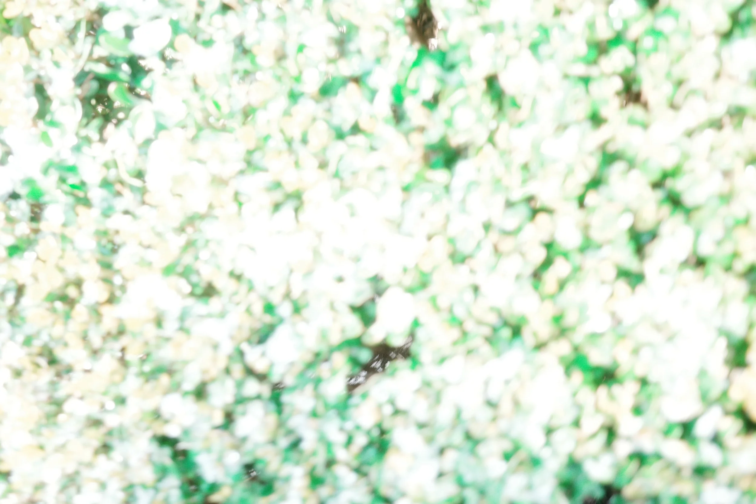 Close-up of a glittery, sparkling surface with green and white hues.