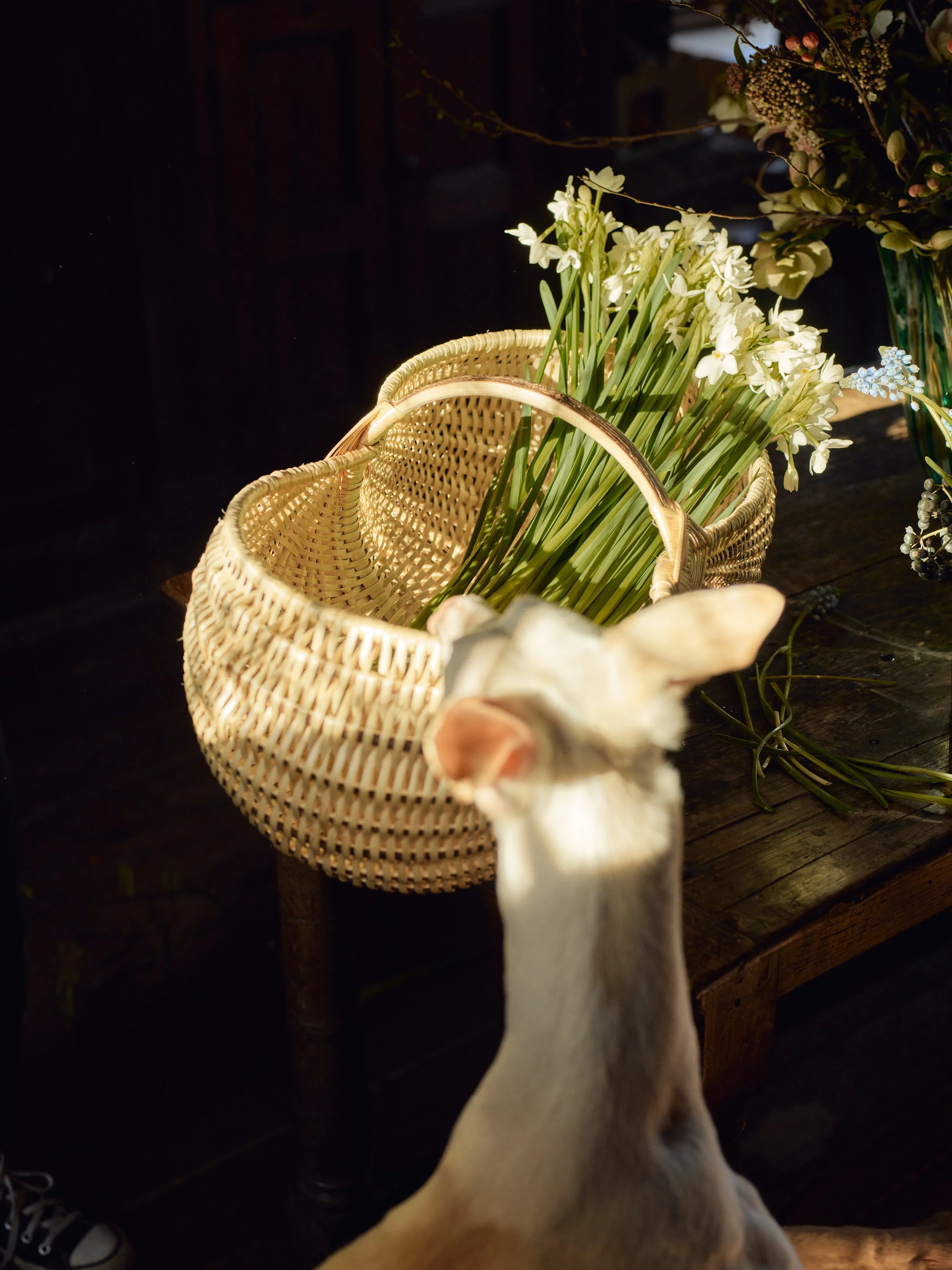 7-FlowerBasket_0012.jpg