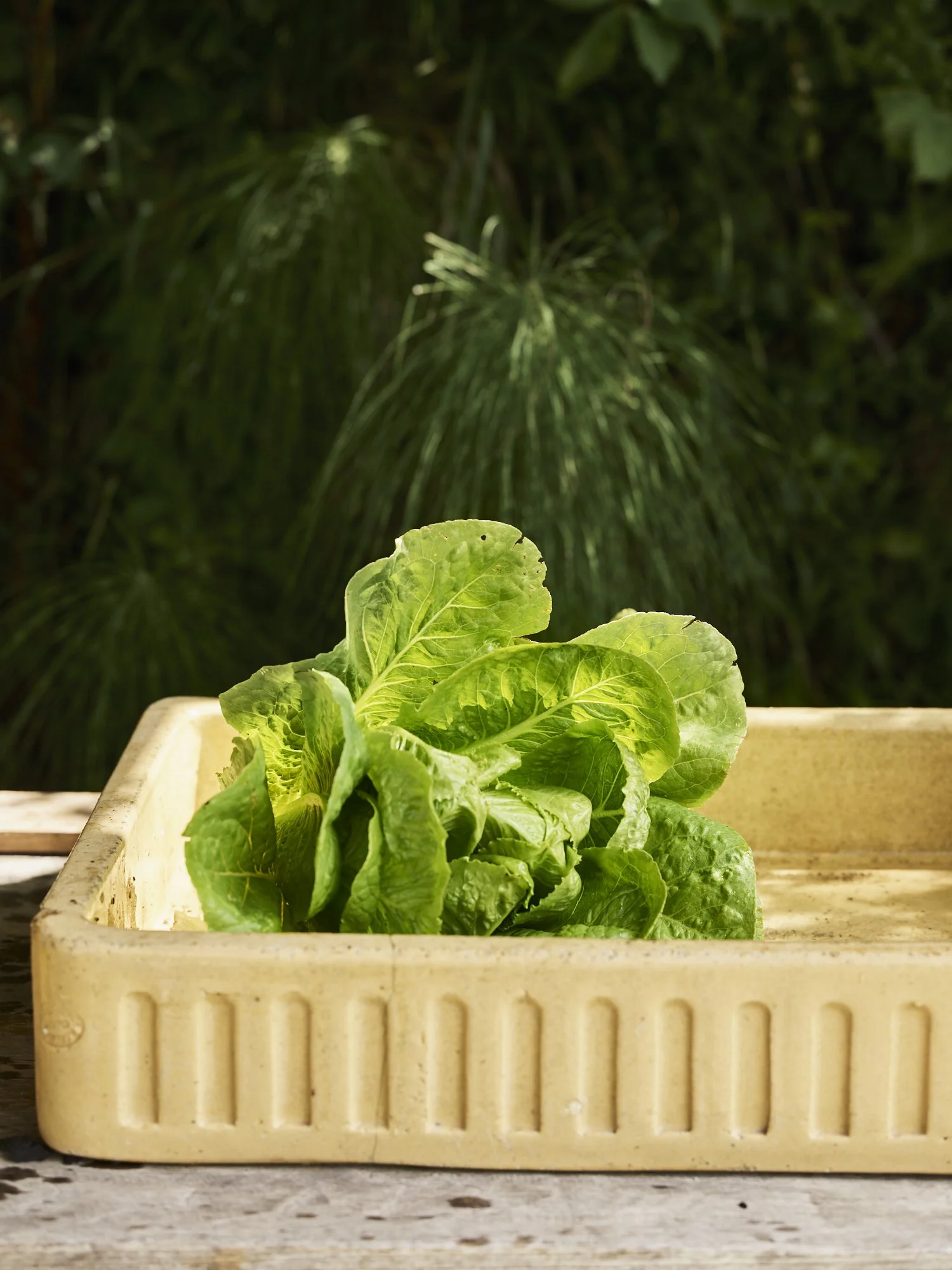 2-Ingredients_029.jpg