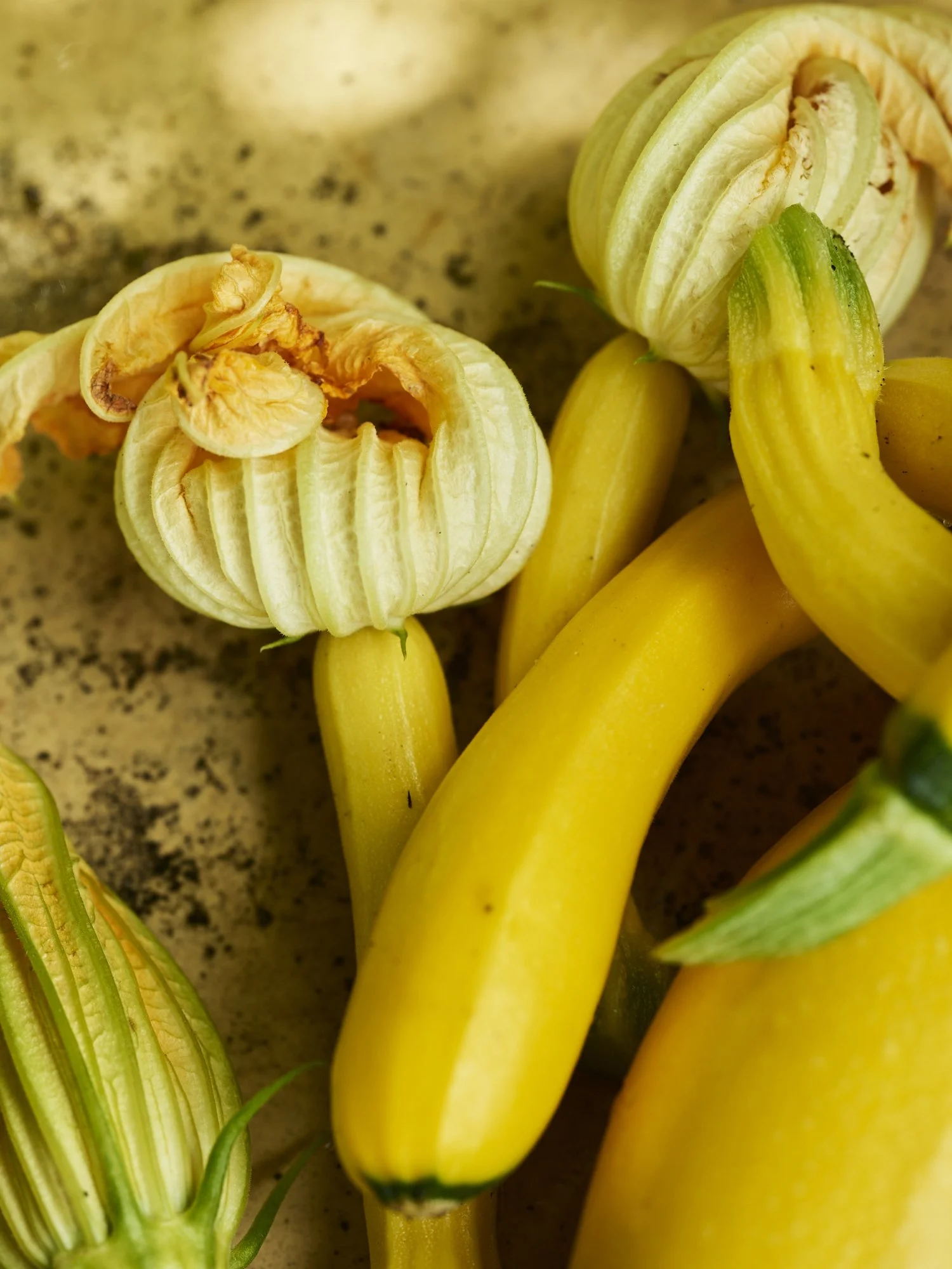 2-Ingredients_031.jpg
