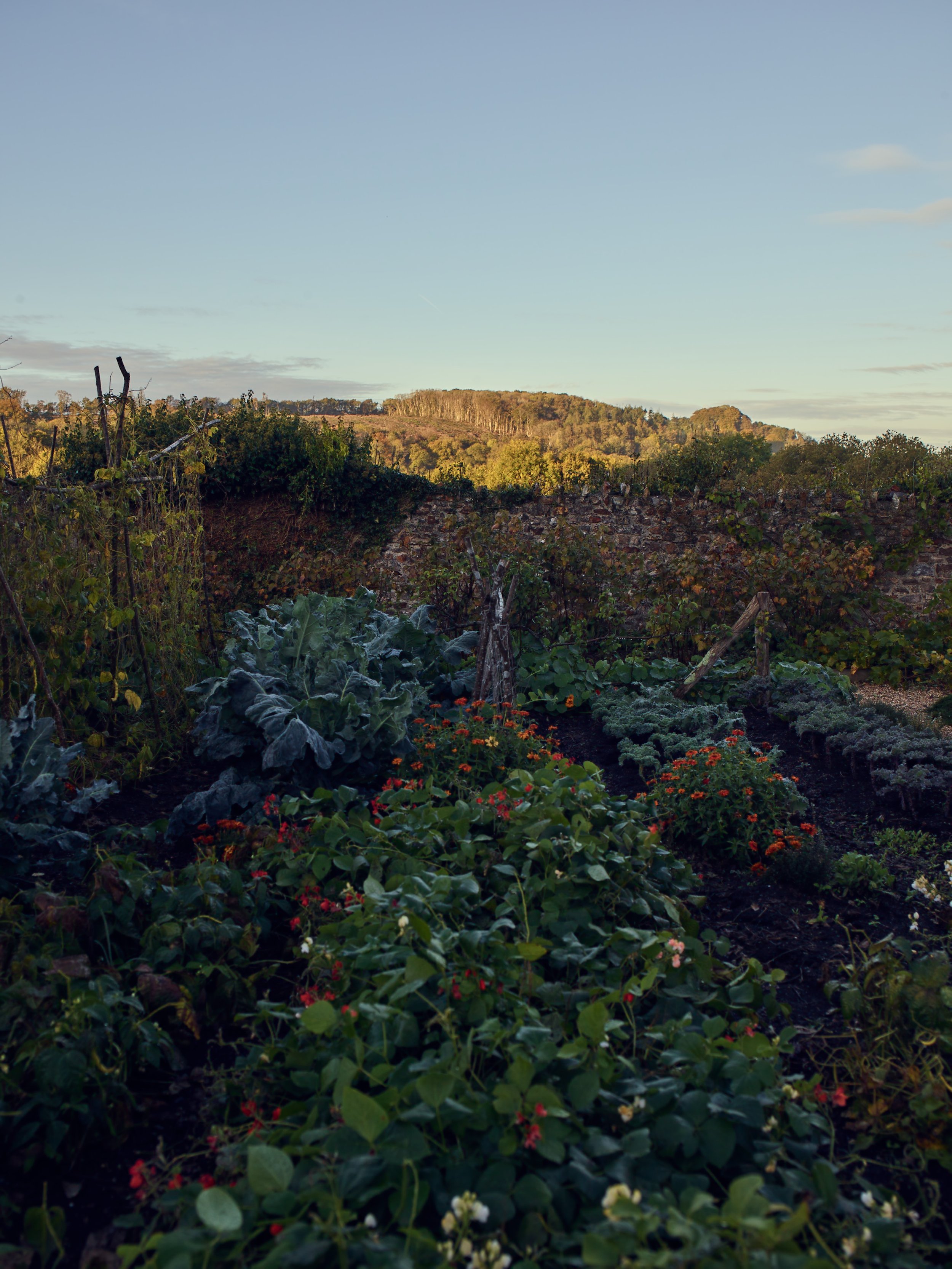 2022_10_18_RC_Roasts_Garden_065.jpg