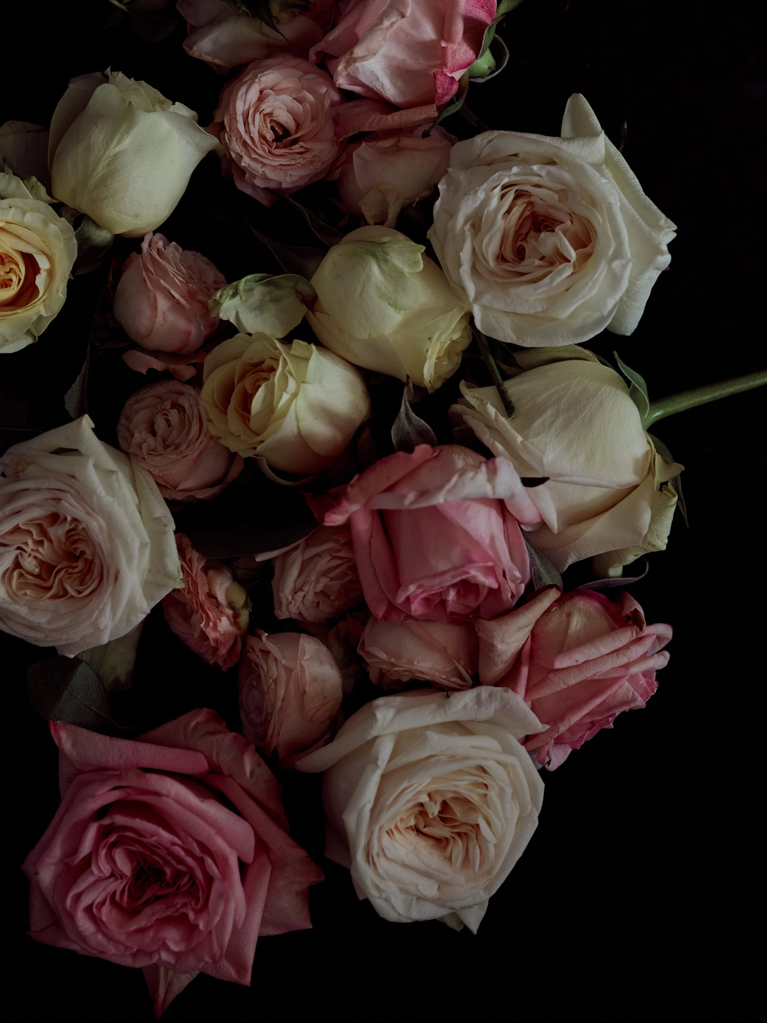 2020_12_03_Waitrose_Flowers_254.jpg