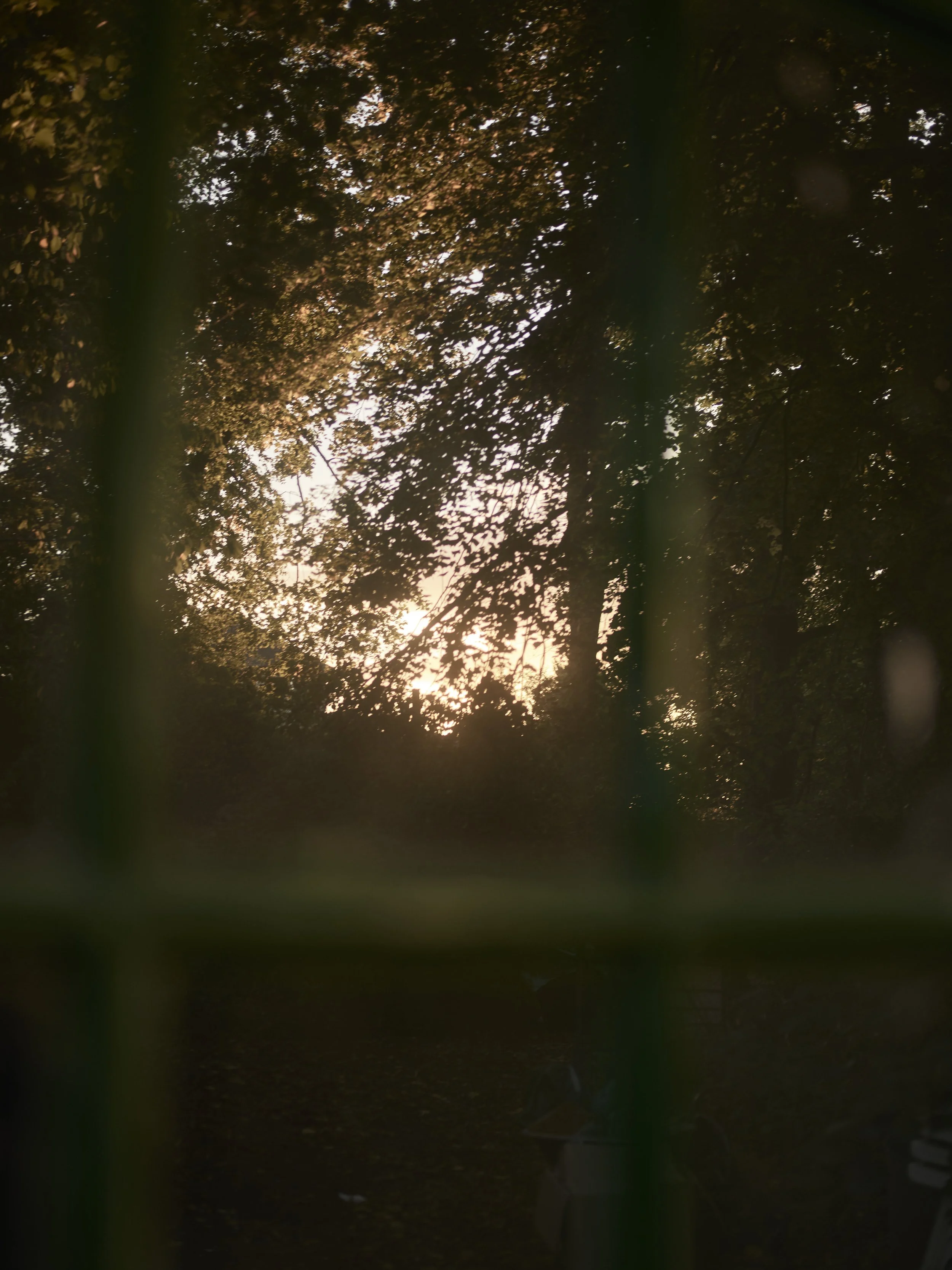 1-Mood_020.jpg