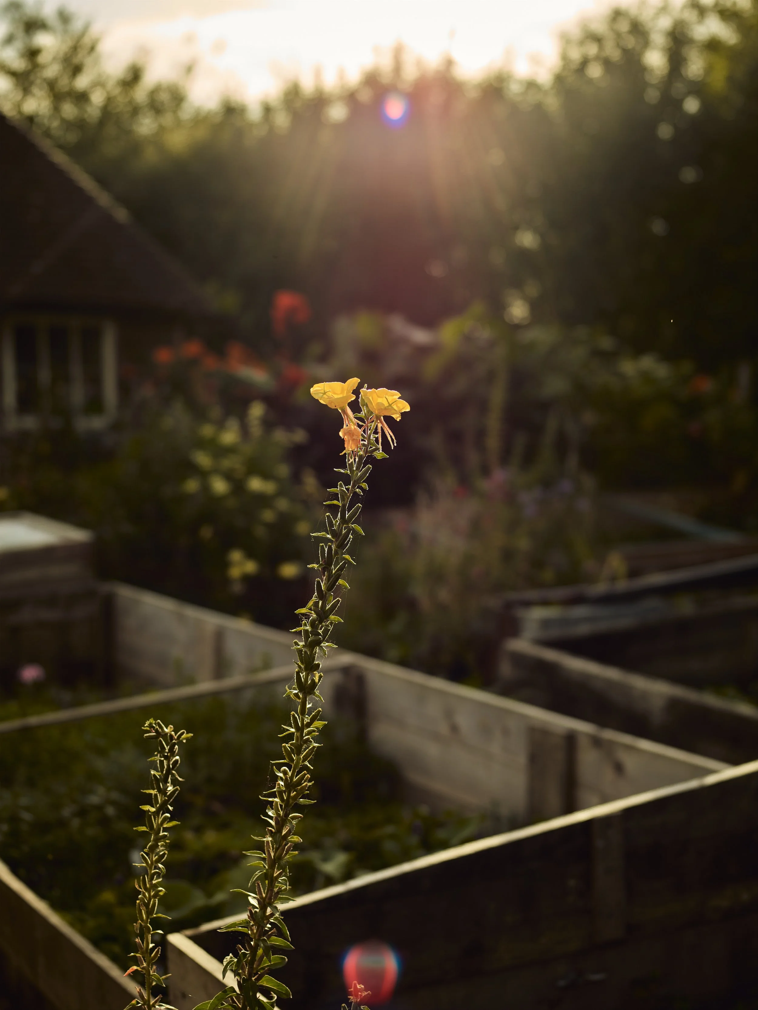 2025_08_09_Rowen_&_Wren223037.jpg