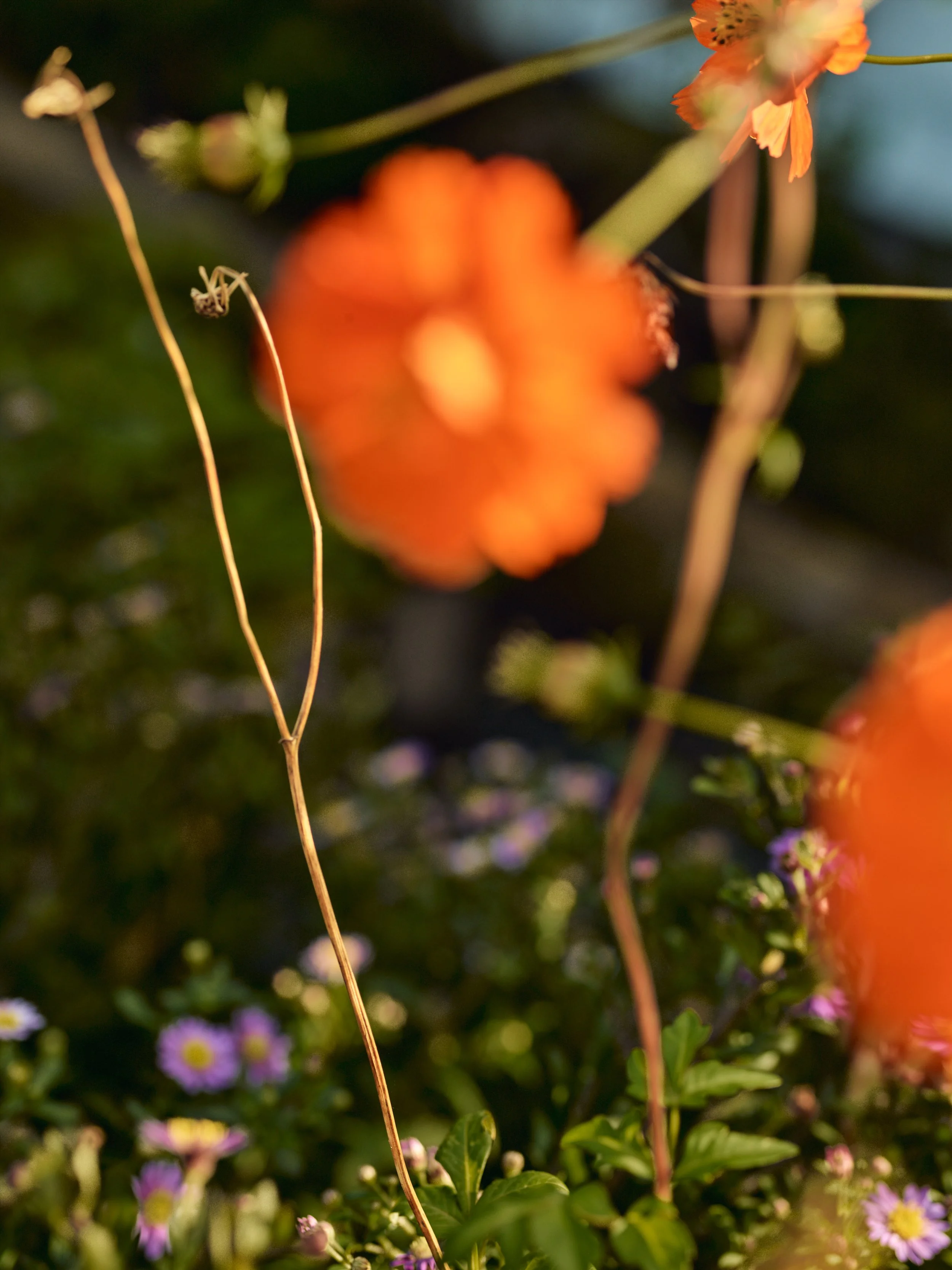 2025_08_09_Rowen_&_Wren223551.jpg