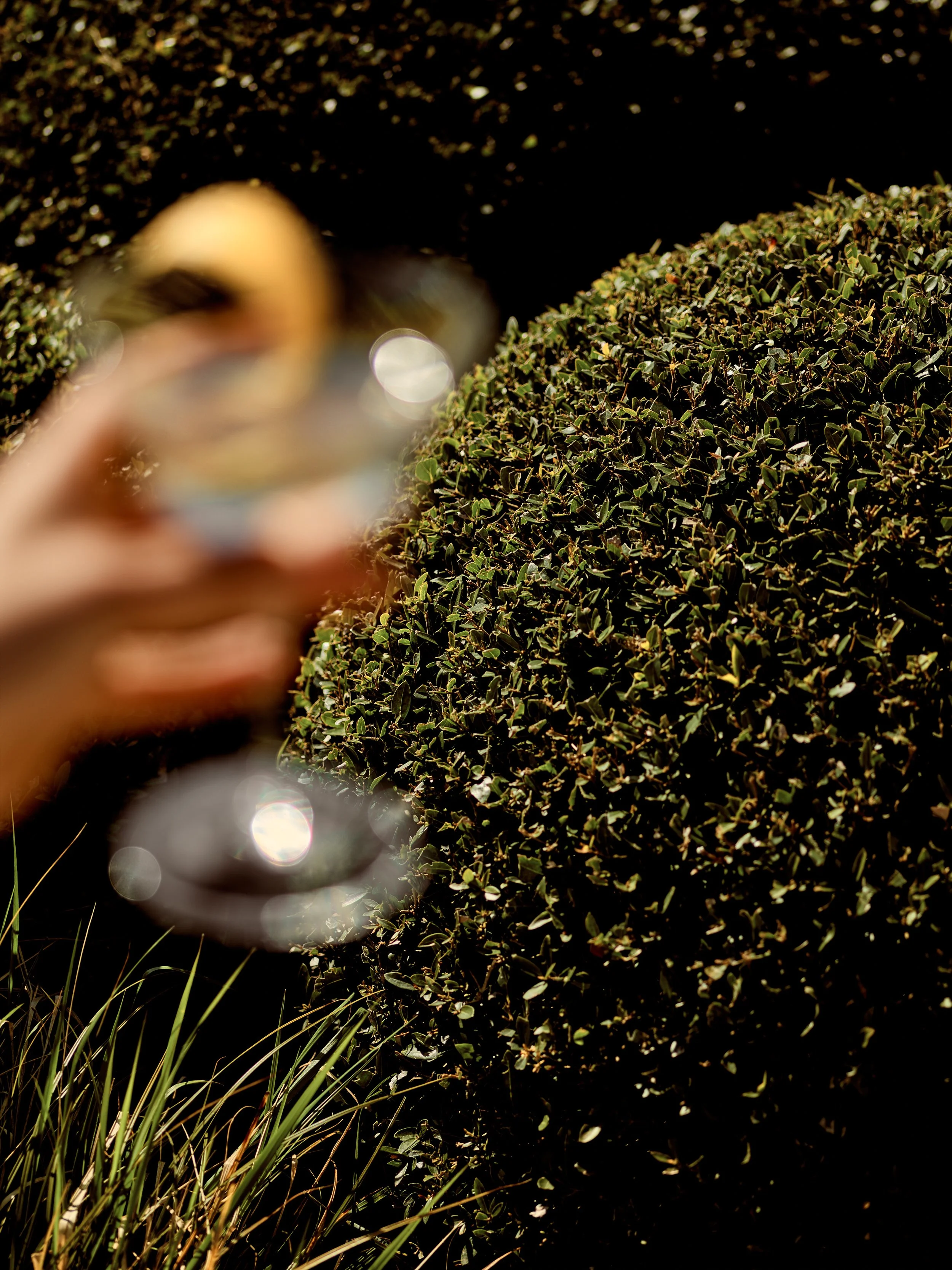 GARDEN_ISLINGTON_GLASSWEAR_1381.jpg