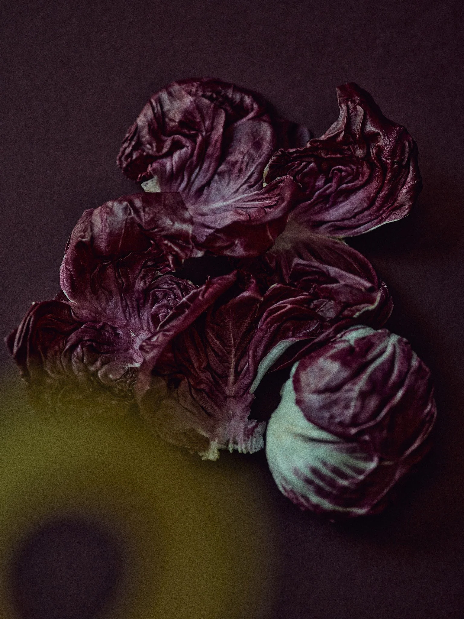 20226_03_17_COLOUR240223.jpg