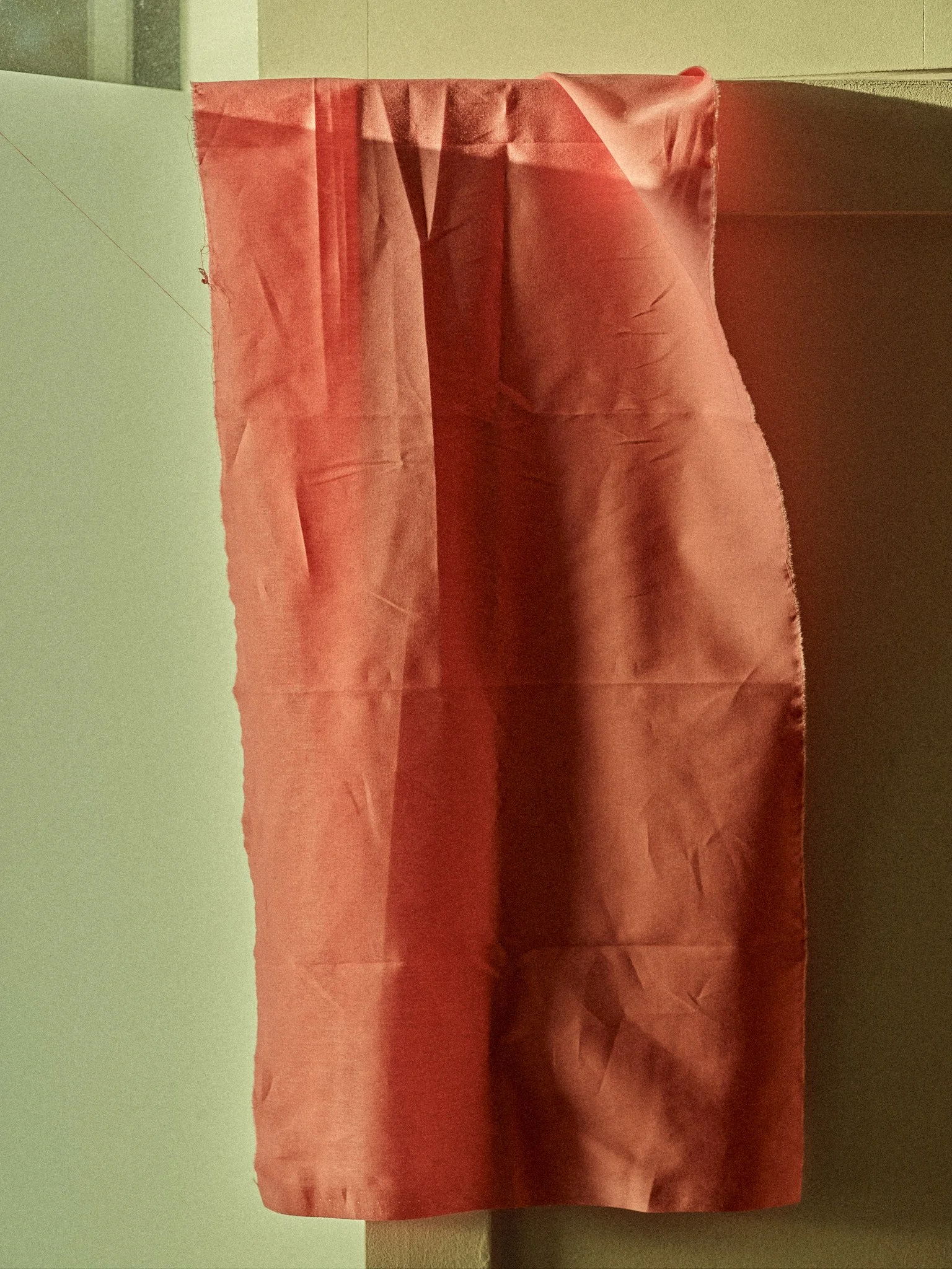 20226_03_17_COLOUR240271.jpg