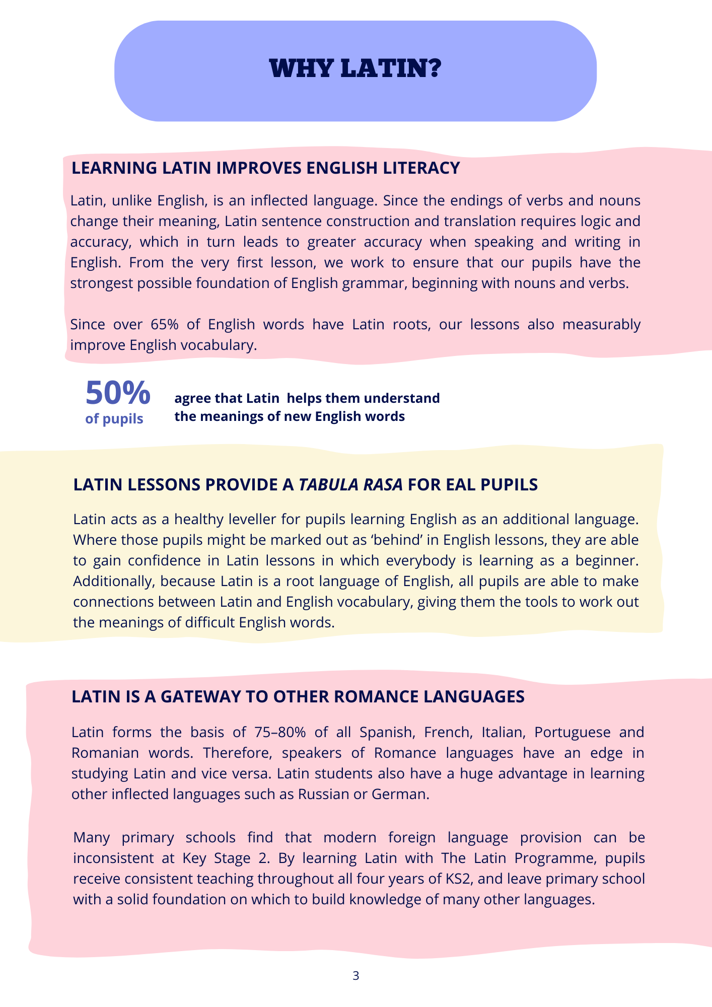 IMPACT REPORT 20242025 FINAL-3.png