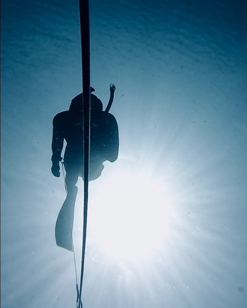 Freediving embodies a serene and almost meditative experience that transcends the boundaries of ordinary perception. As you slip beneath the water's surface, the world above fades away, leaving only the rhythmic cadence of your breath and the weightl