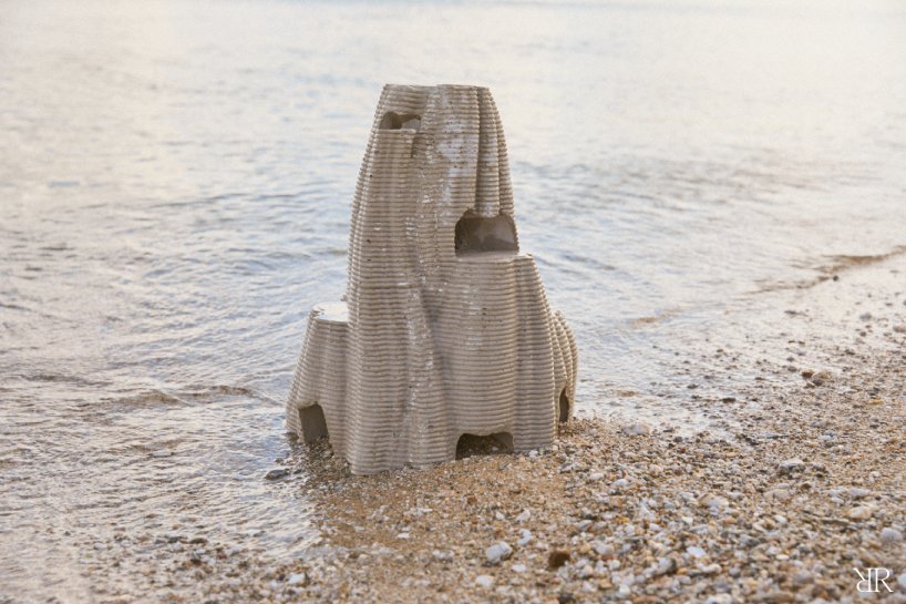 06_Resting Reef_Image by Resting Reef (1).jpg