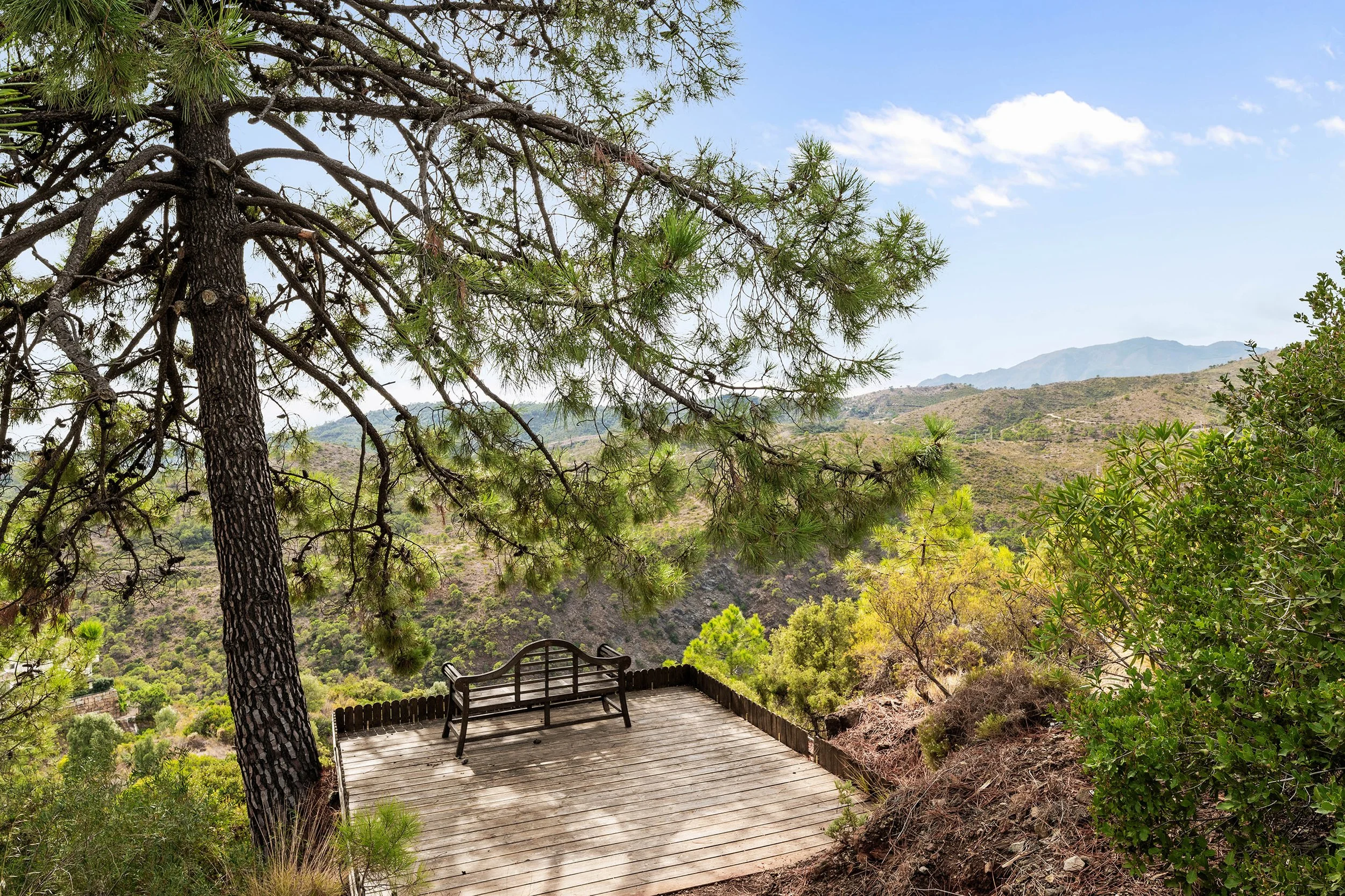 Montemayor C9-36.jpg