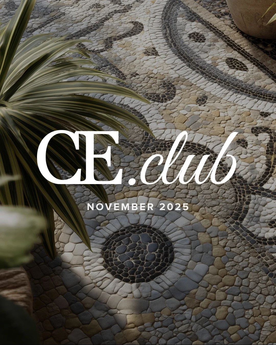 CE Club - November 2025
www.casteels-eriksson.club/november-25

For November, we&rsquo;re presenting a strong mix: a country finca just outside Estepona, a renovated sea-view apartment in Castillo de San Carlos, a redesigned semi-detached home in El 