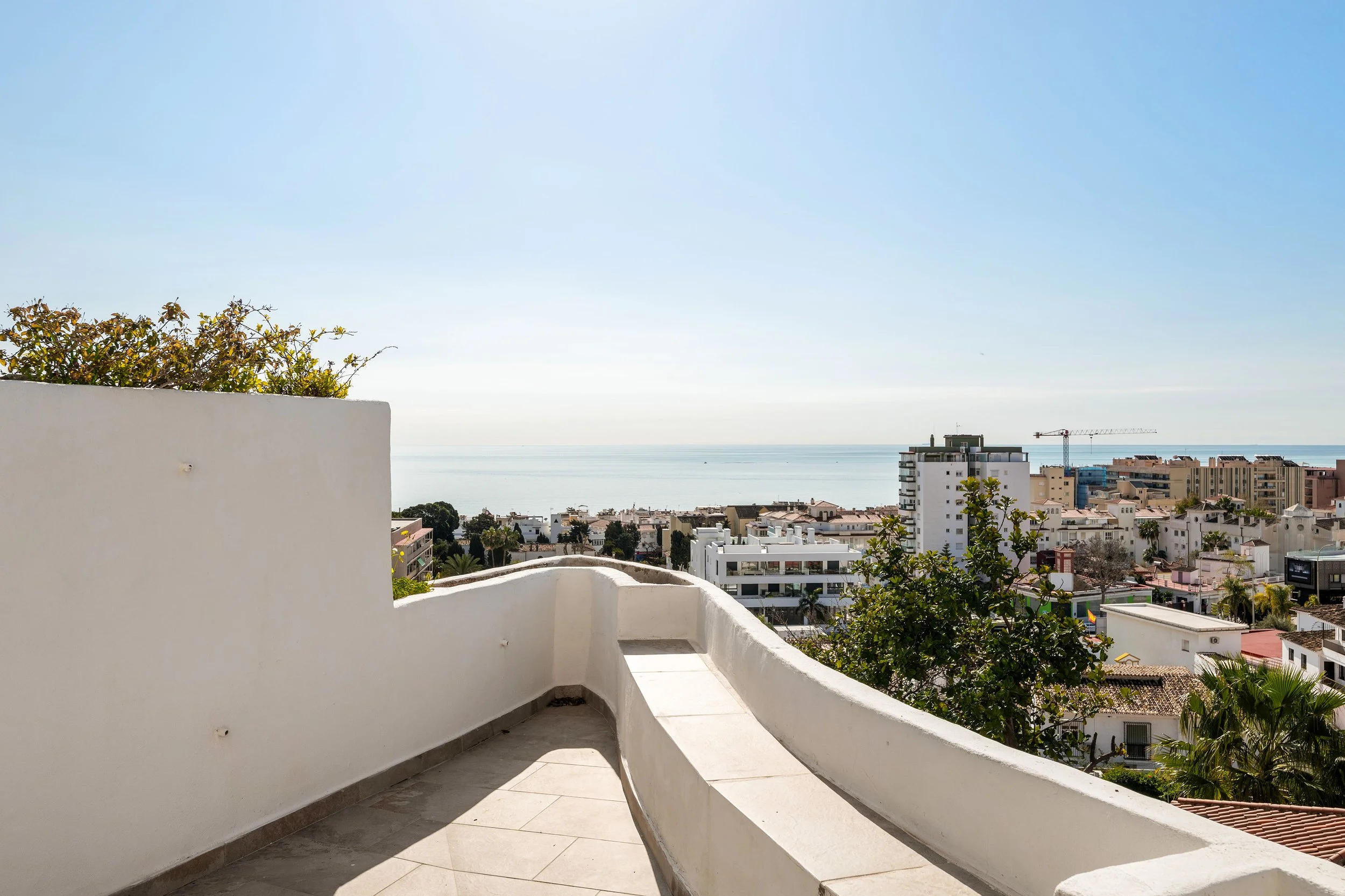 Torremolinos Violin 16 Bajo-19.jpg